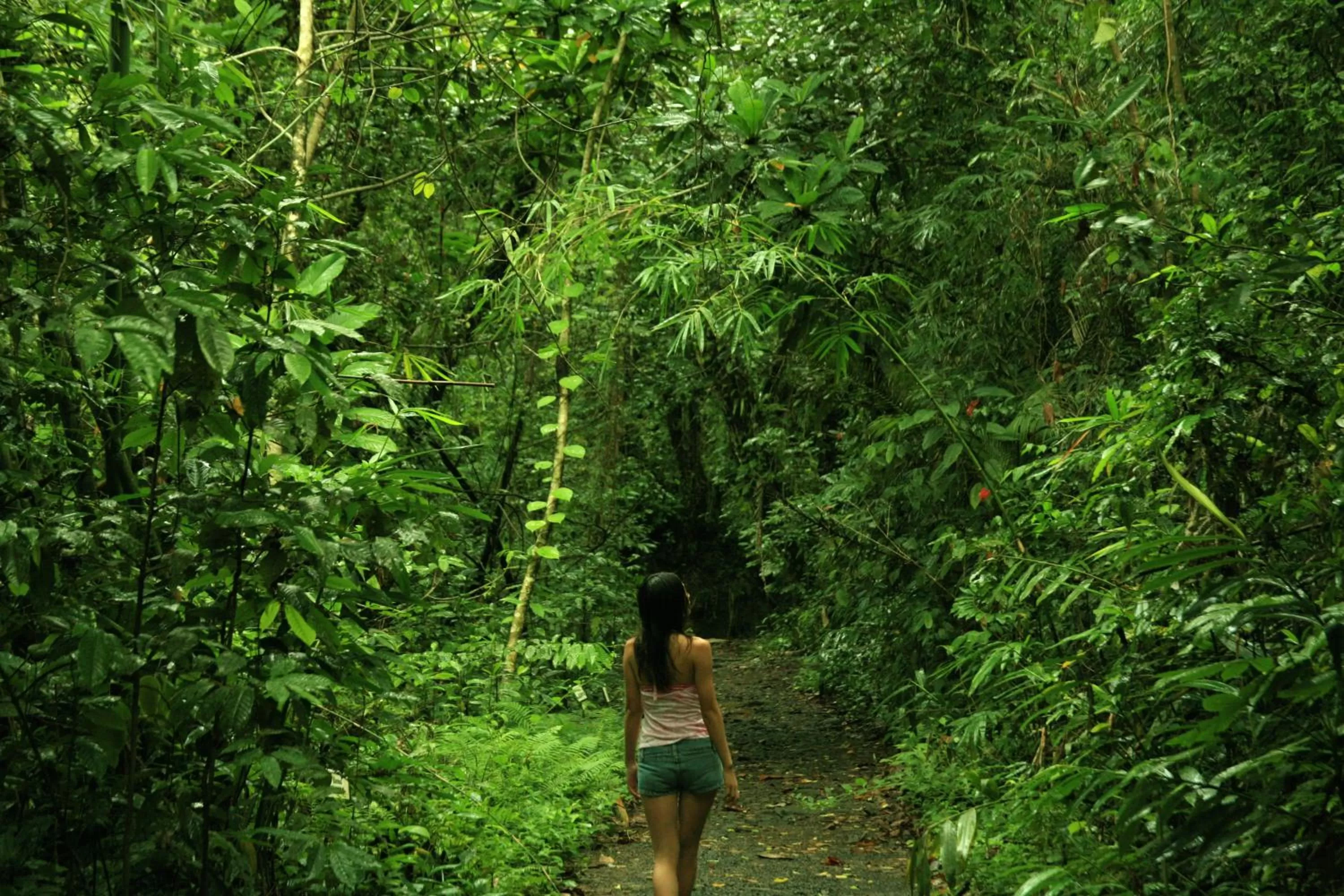 Hiking in Palau Pacific Resort