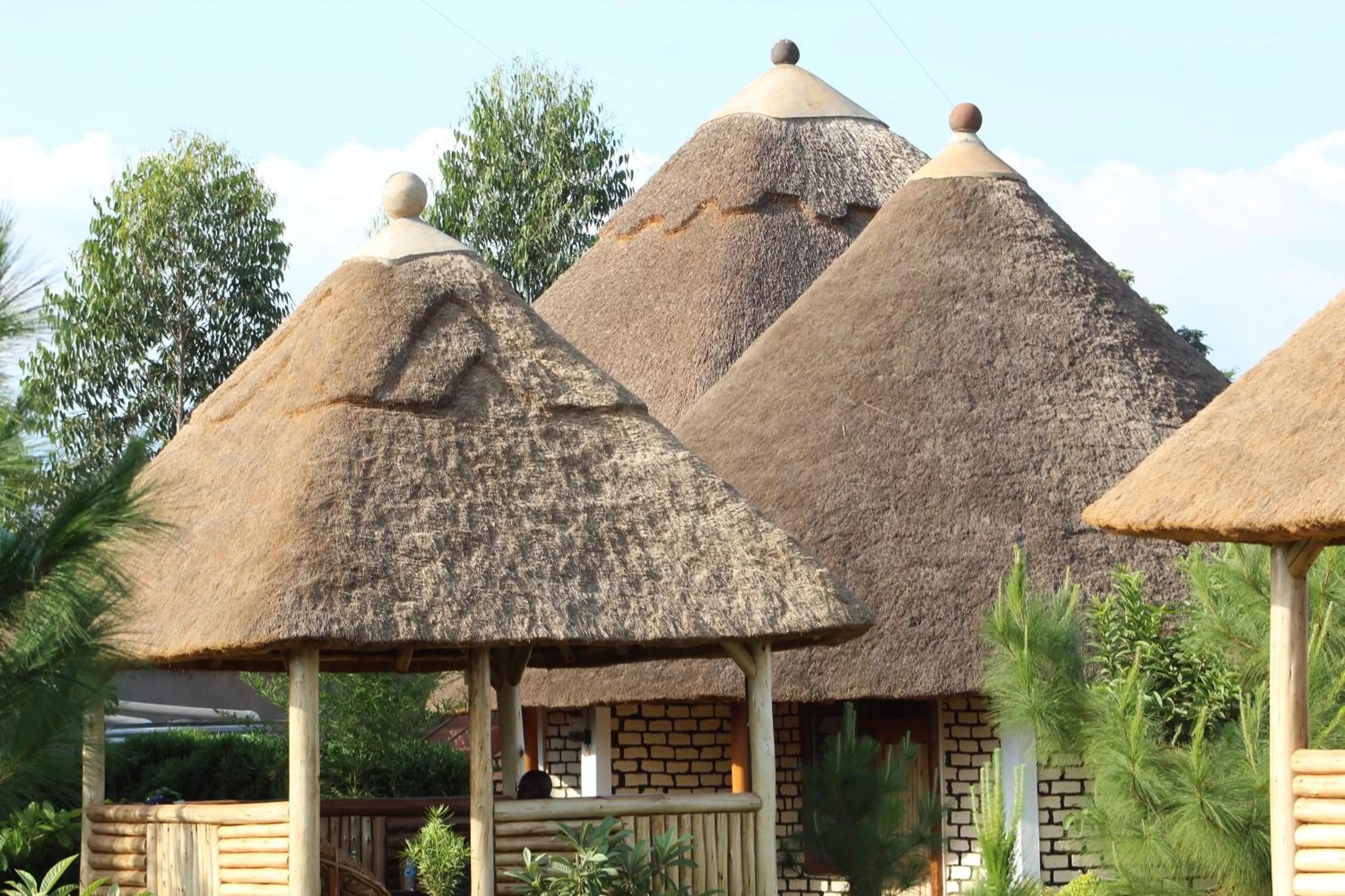 Text overlay, Property Building in Elite Backpackers Services