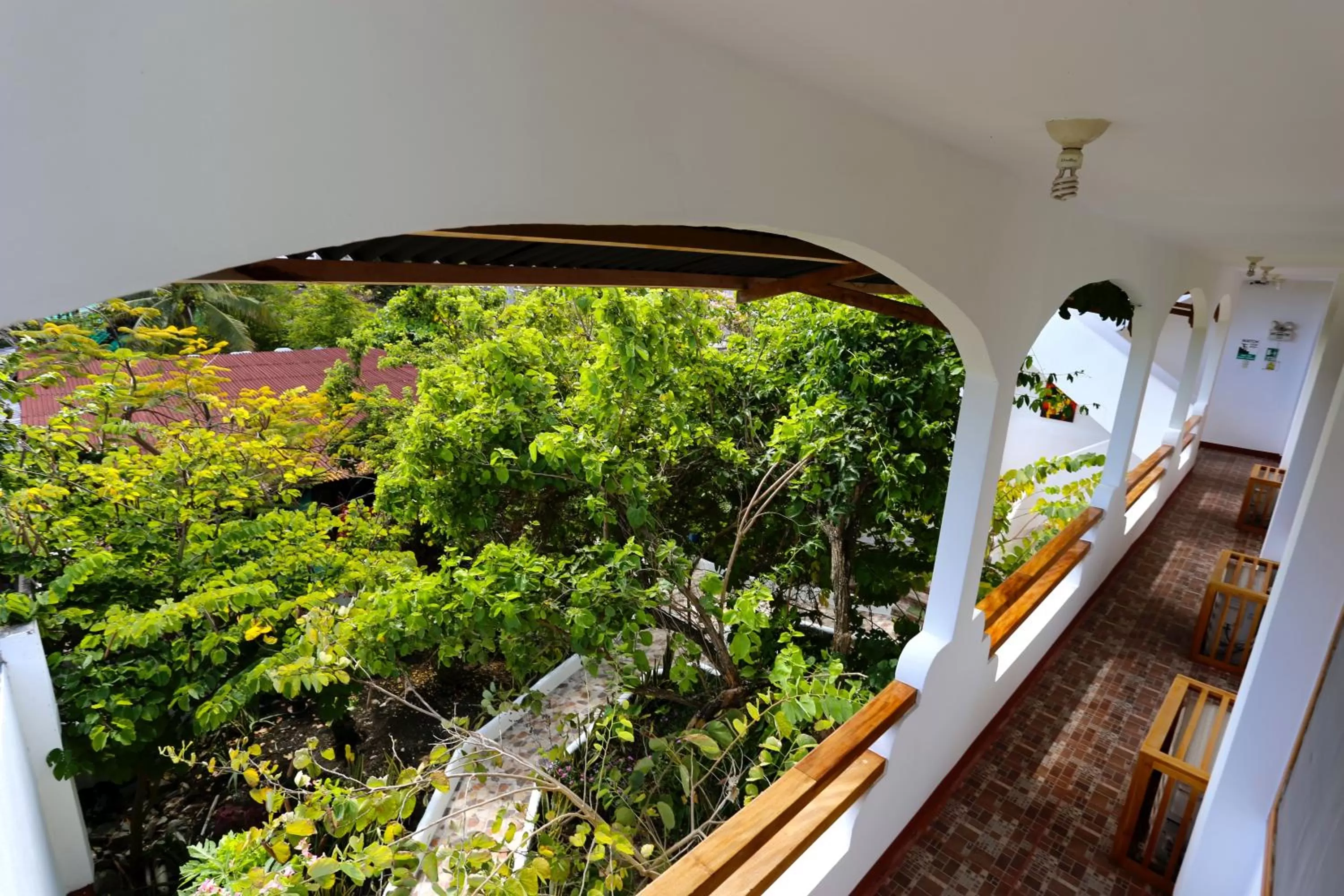 Property building, Balcony/Terrace in The Galapagos Pearl B&B