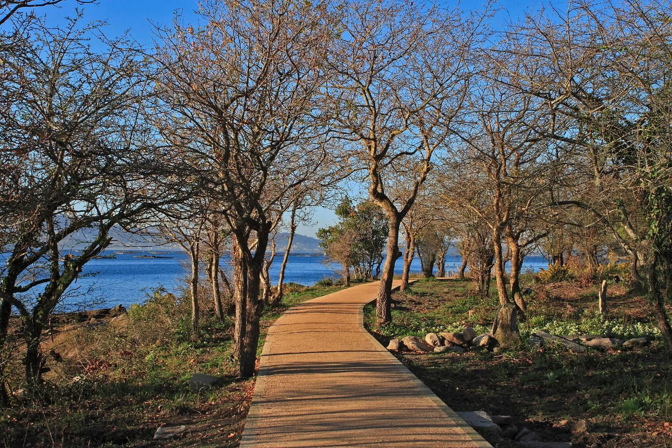 Area and facilities in Villa Covelo