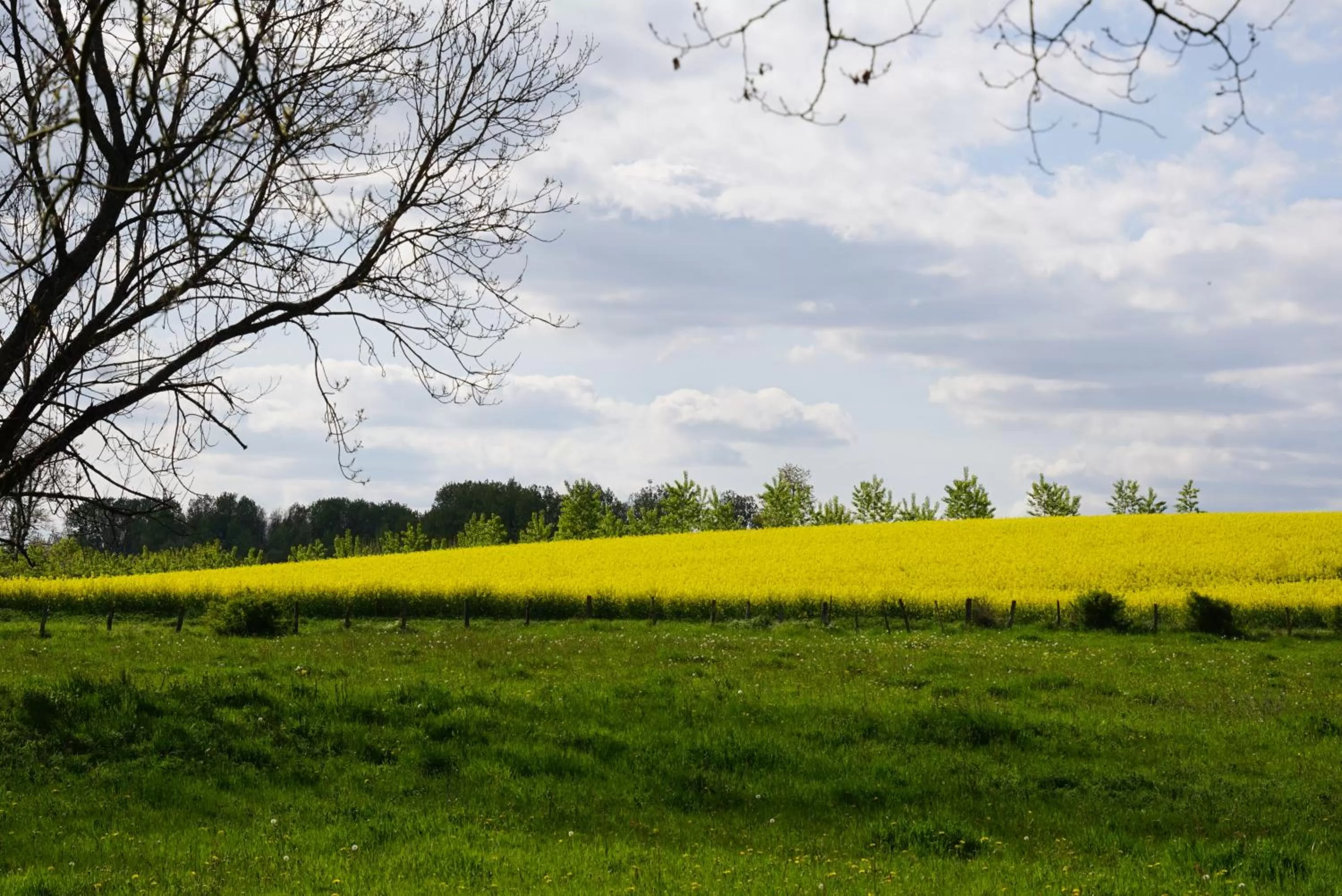 la Grange de Félicie
