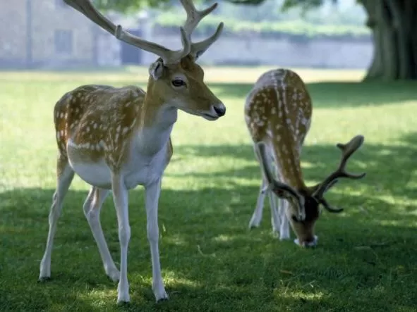 View (from property/room) in Knole B&B