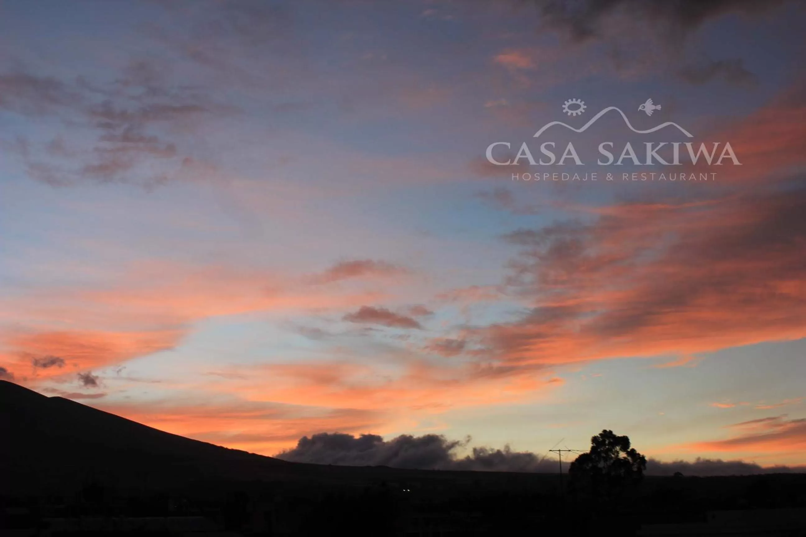 Summer in Hotel Casa Sakiwa