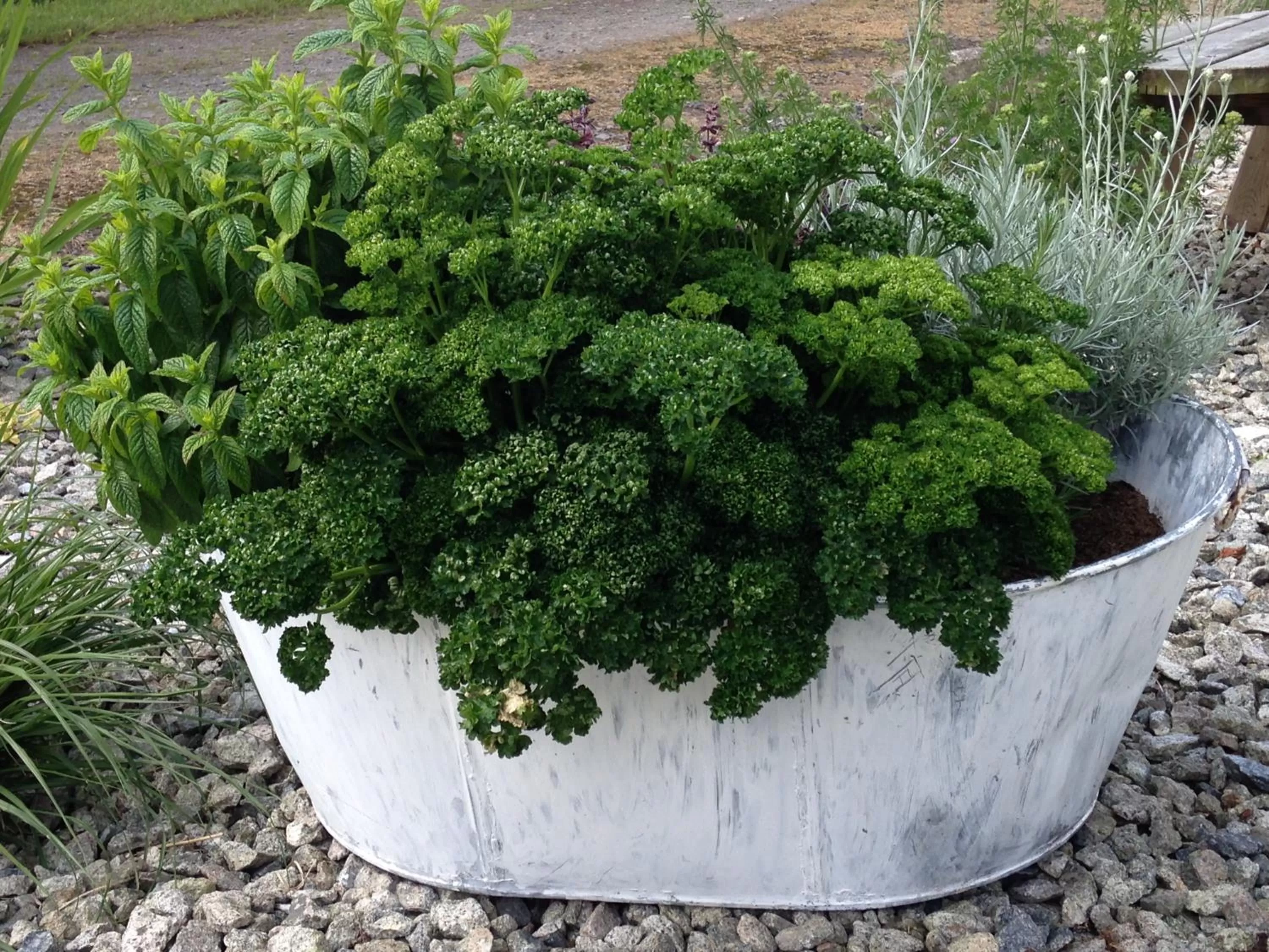 Facade/entrance in Lovaton Farmhouse