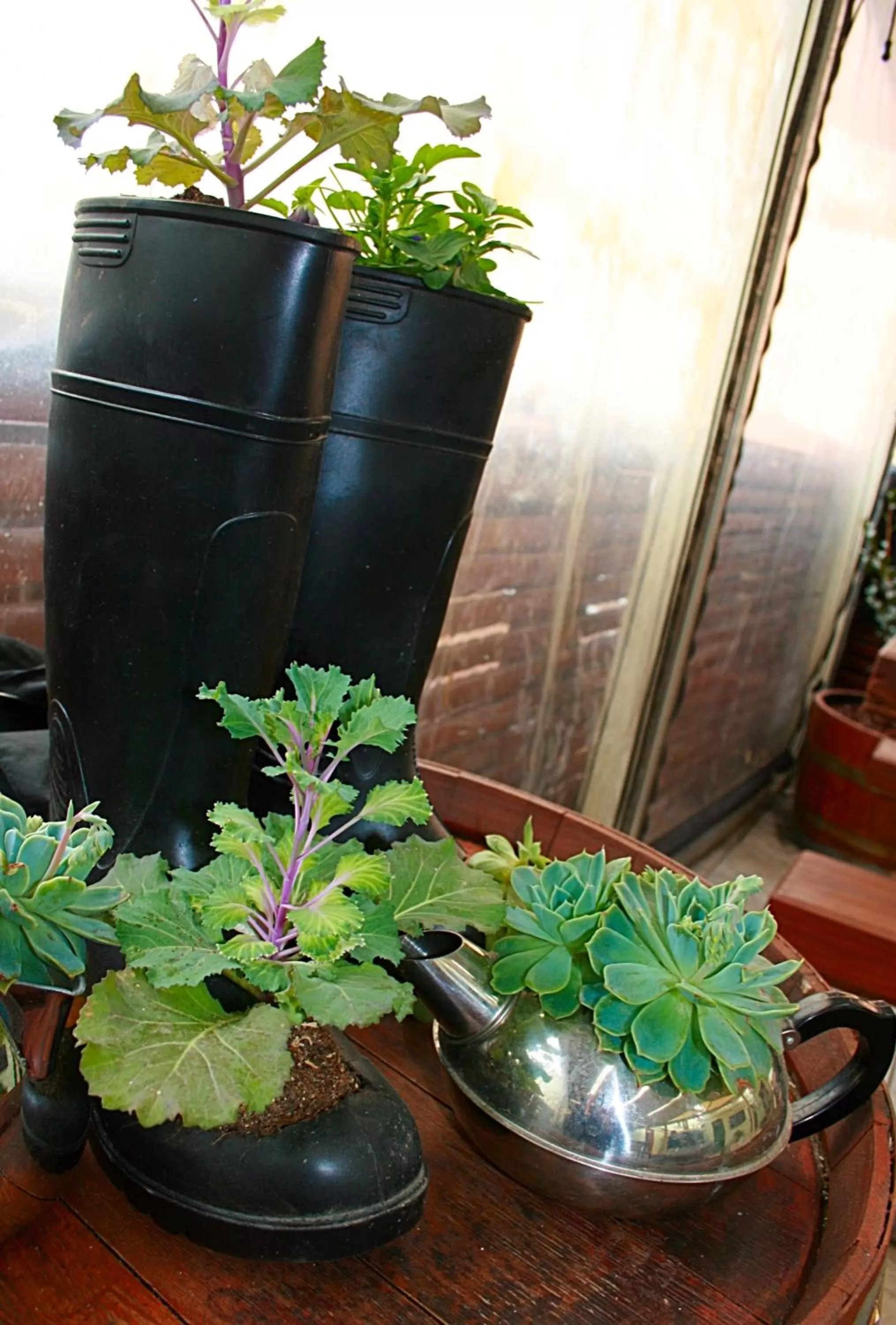 Garden in Southern Railway Hotel Goulburn