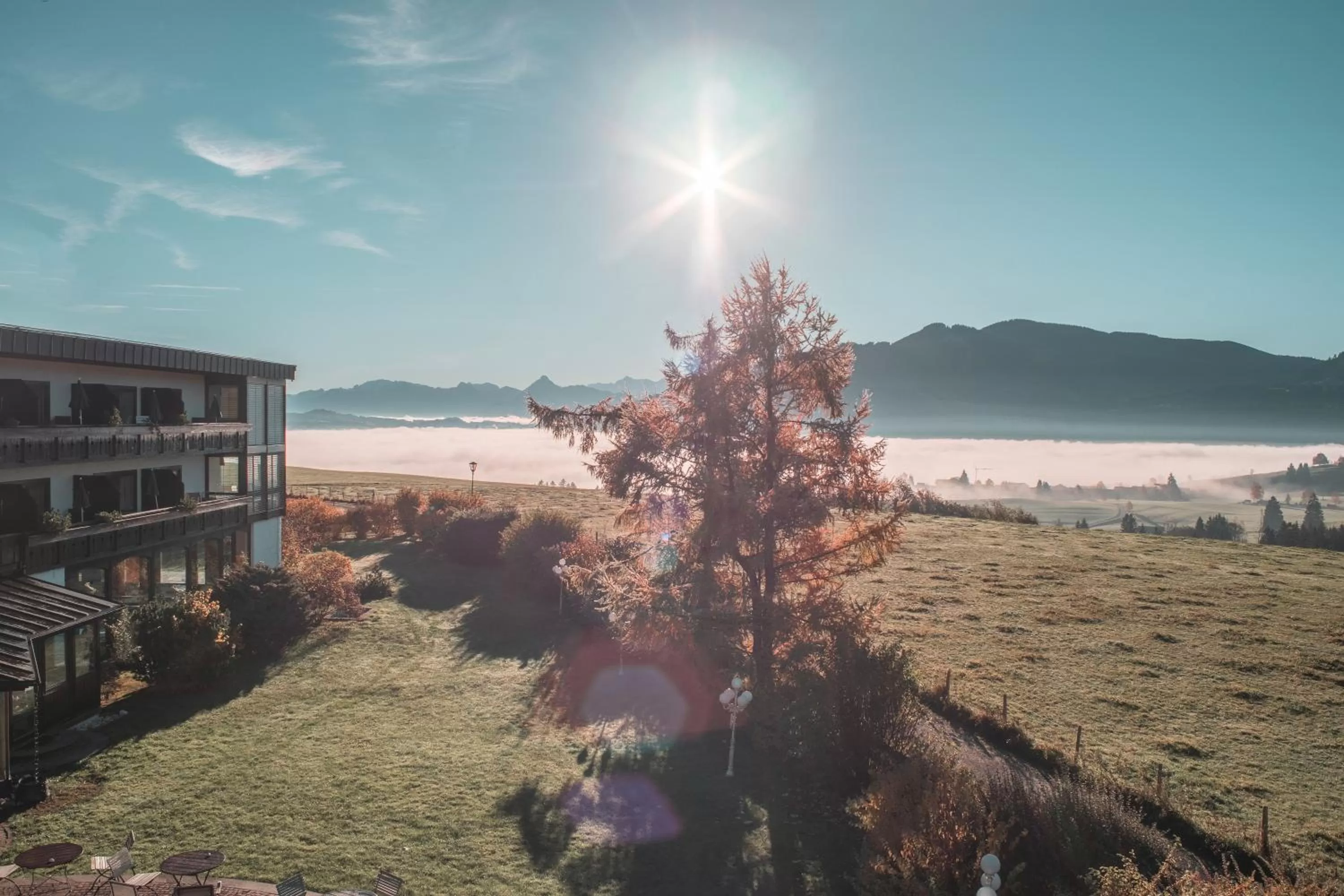 View (from property/room) in Mittelburg Wellnesshotel