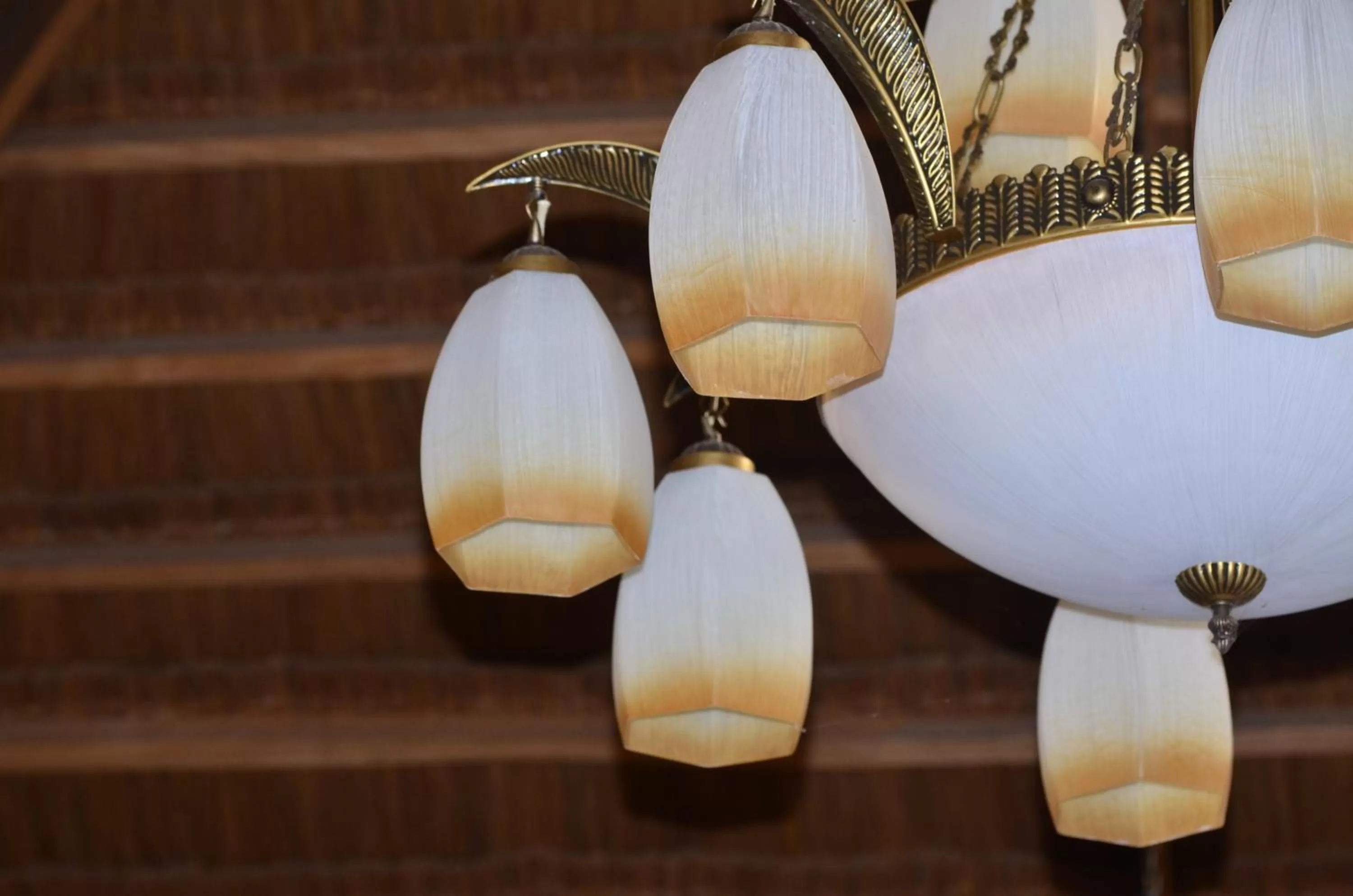 Restaurant/places to eat in Veraneante Resort