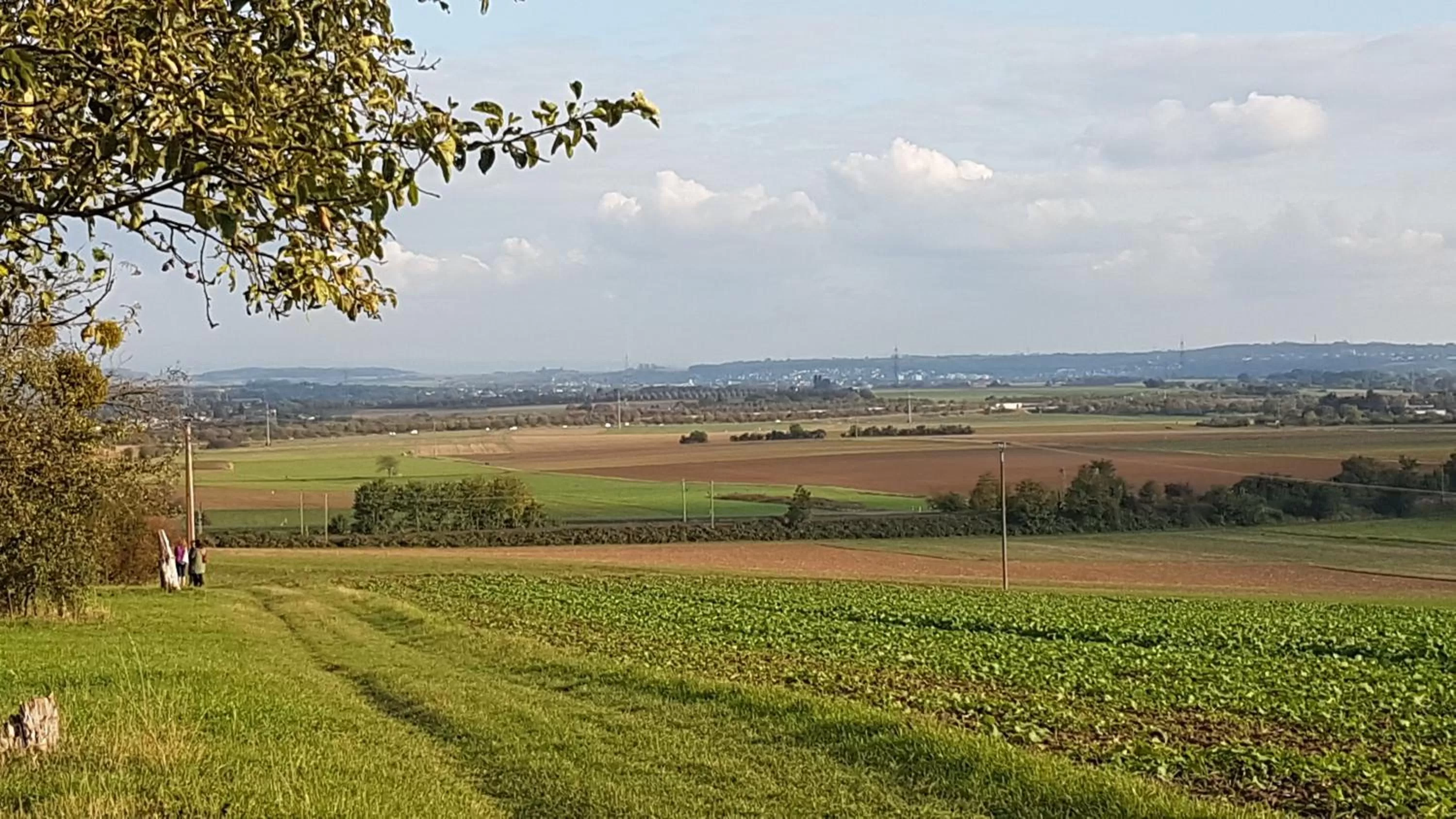 Natural landscape in Hardtwald Hotel