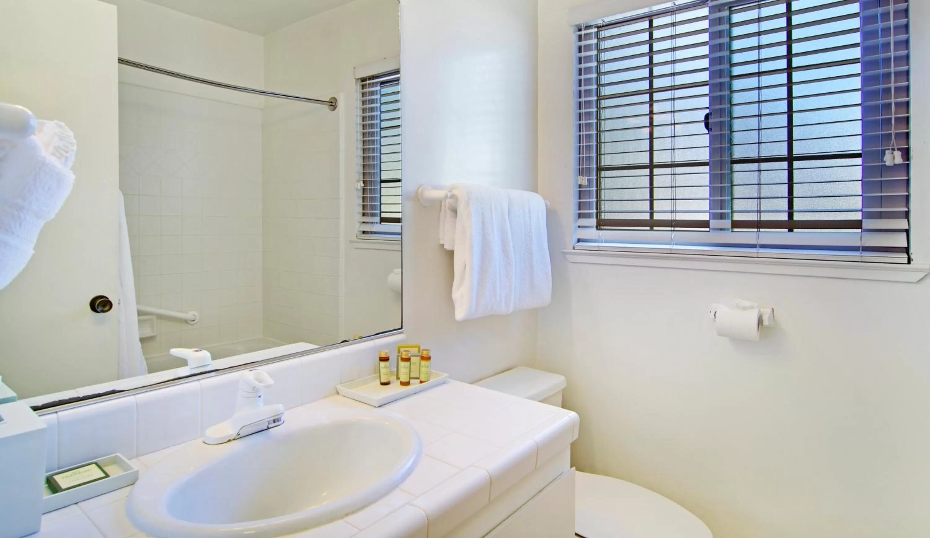 Shower in Svendsgaard's Inn