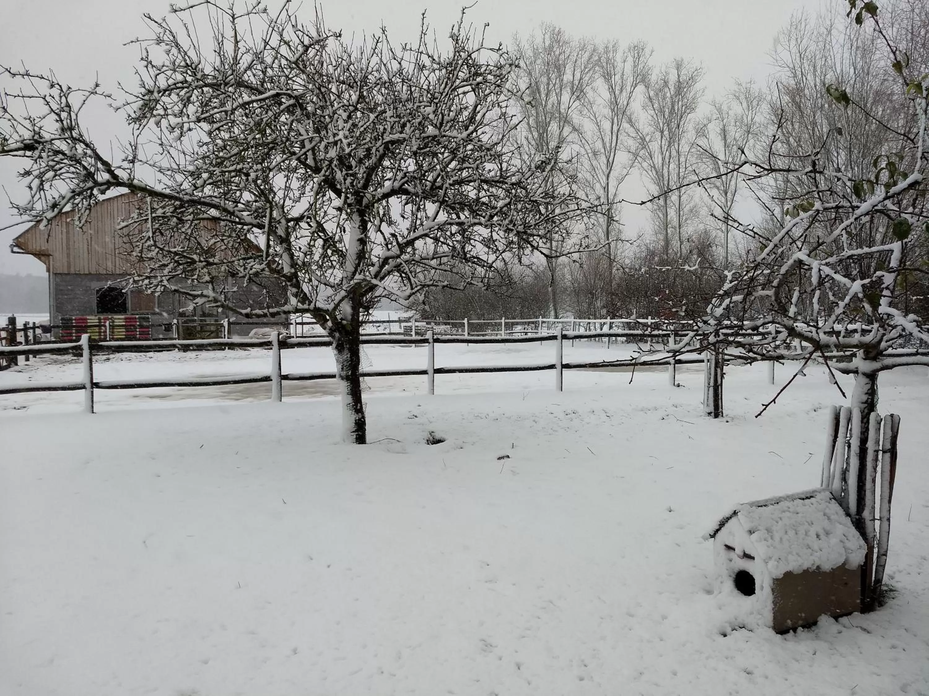 Garden view in B&B De Vossenbarm