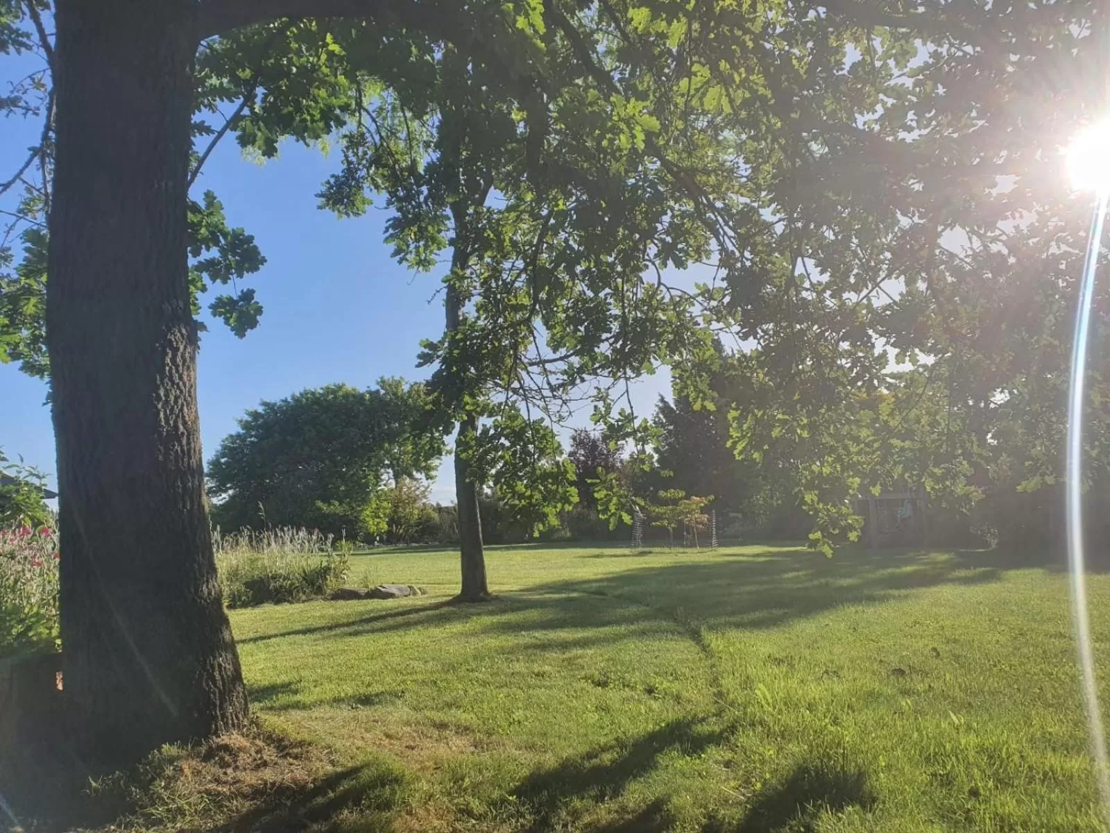 Garden view in Newlands Bed and Breakfast