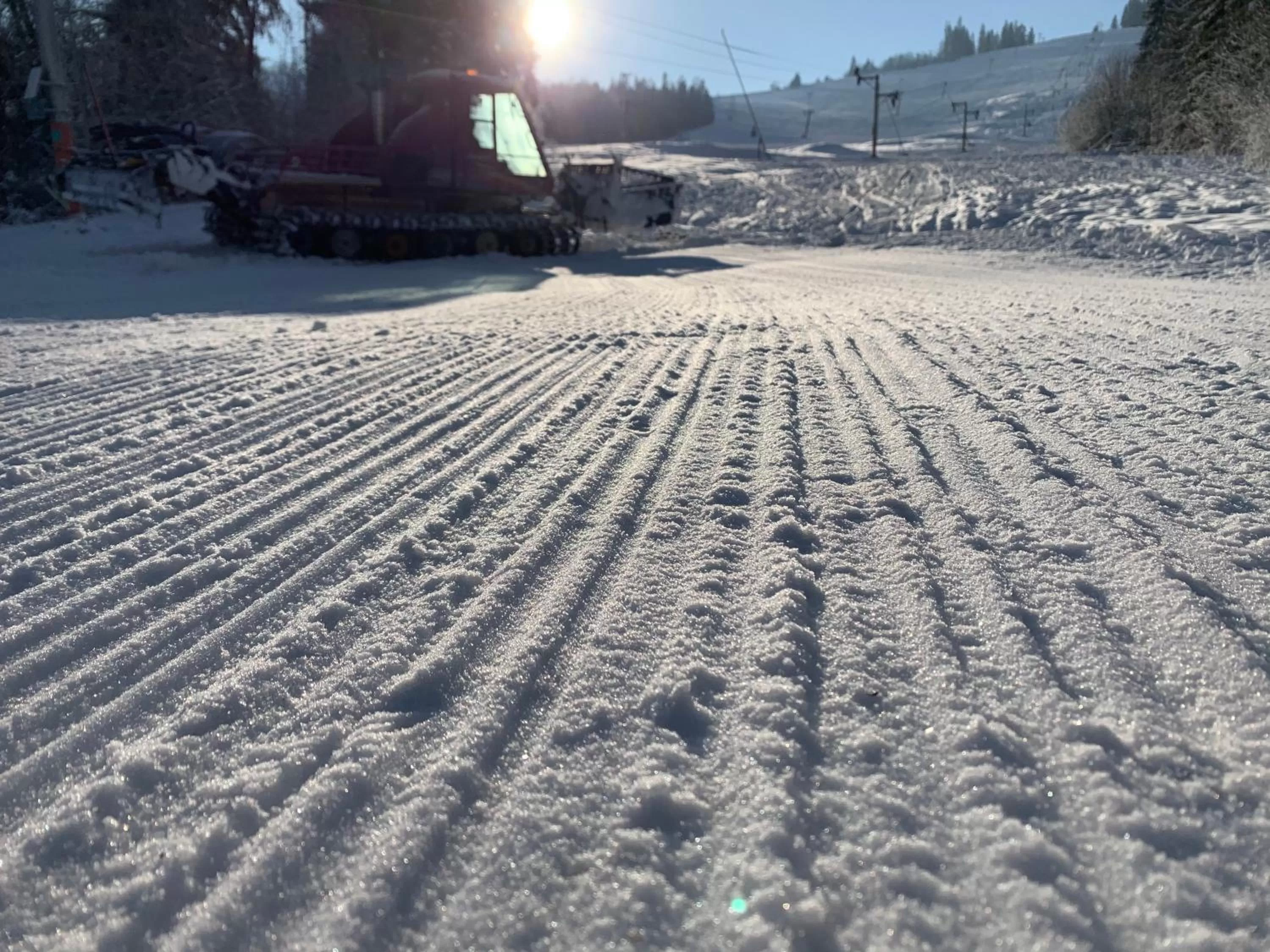 Day in SKI CIERNY BALOG