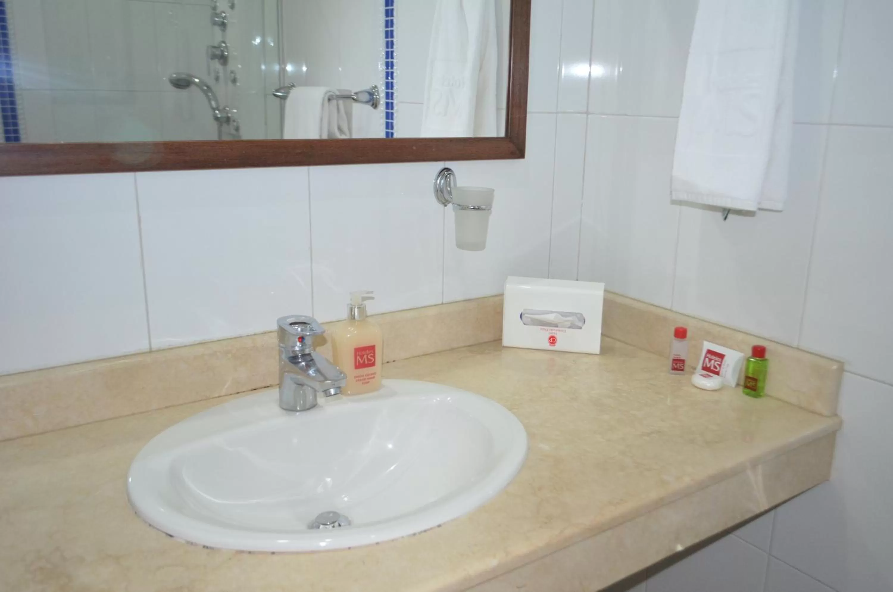 Bathroom in Basic Hotel Centenario by Hoteles MS