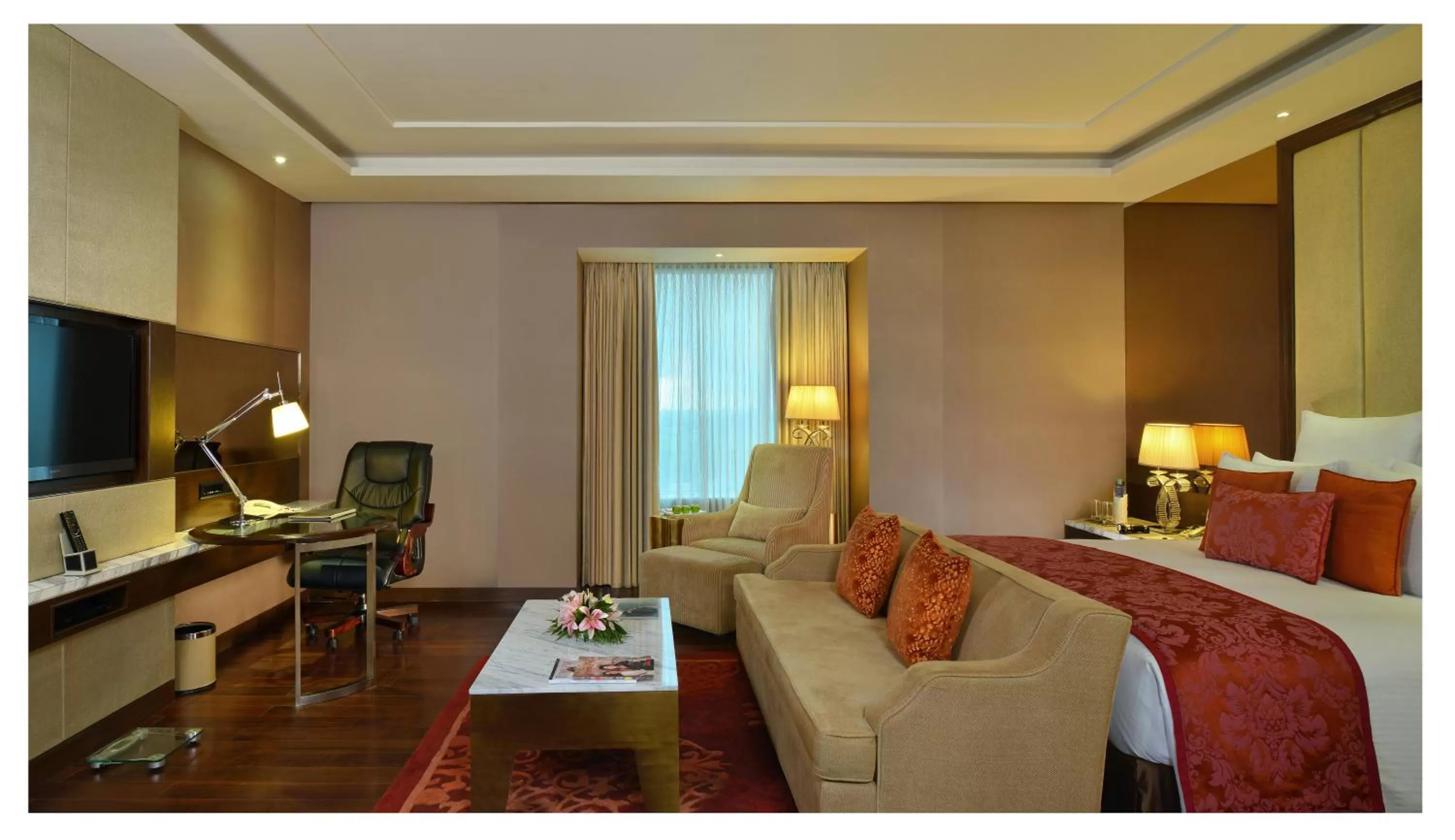 Other in Radisson Blu Jaipur