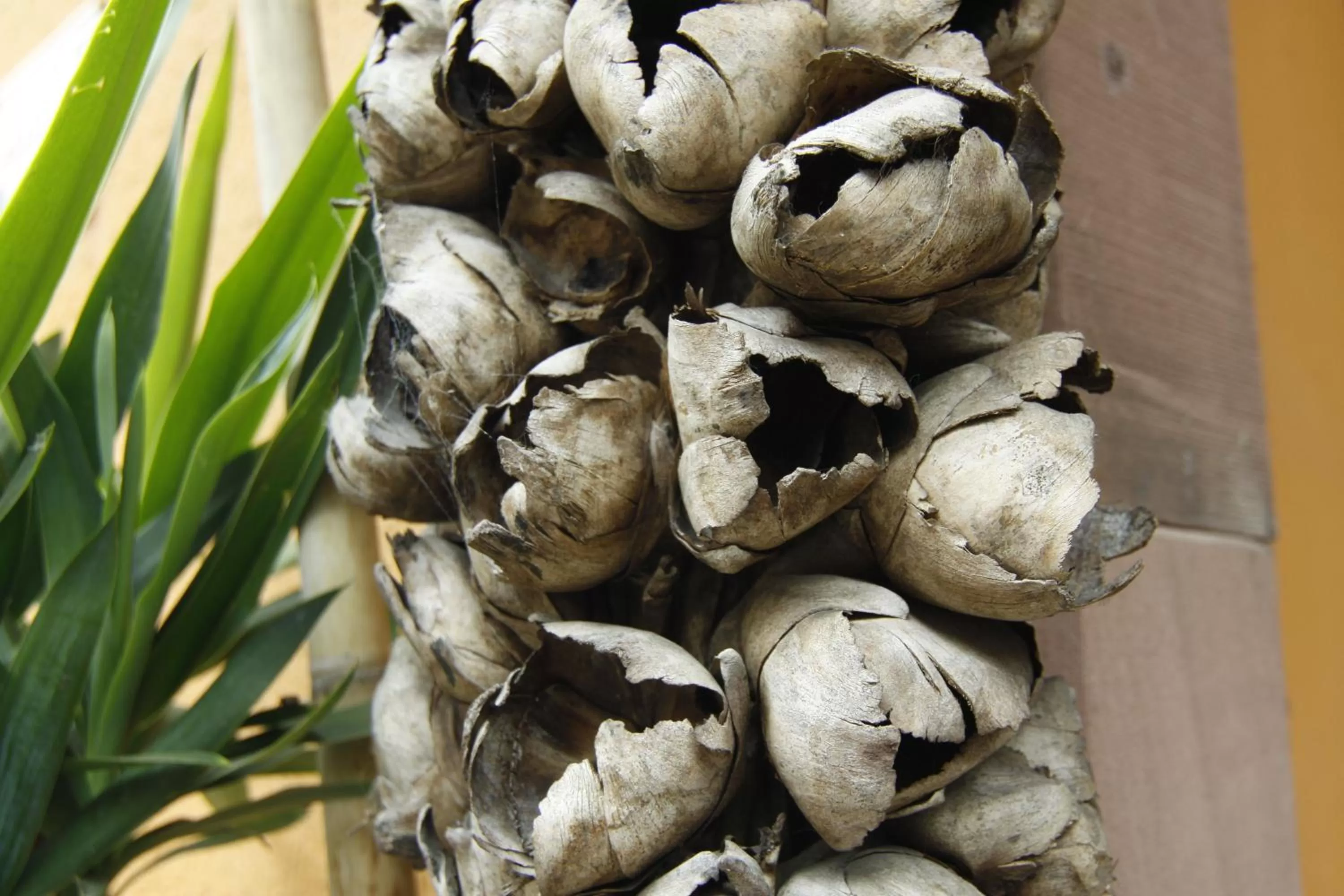 Other, Food in Art Hotel Neckar