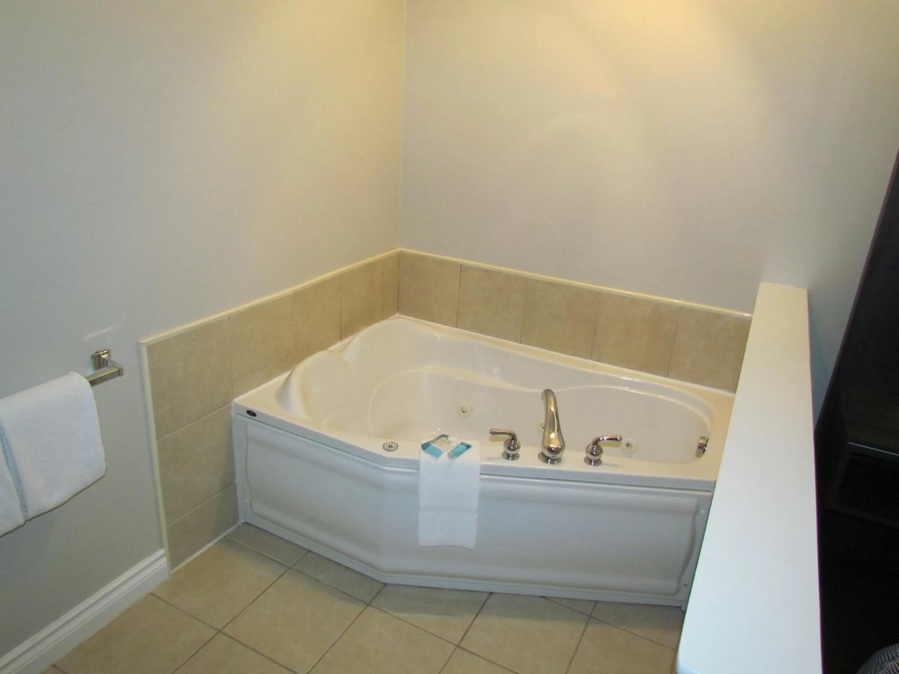 Hot Tub in Rodeway Inn King William