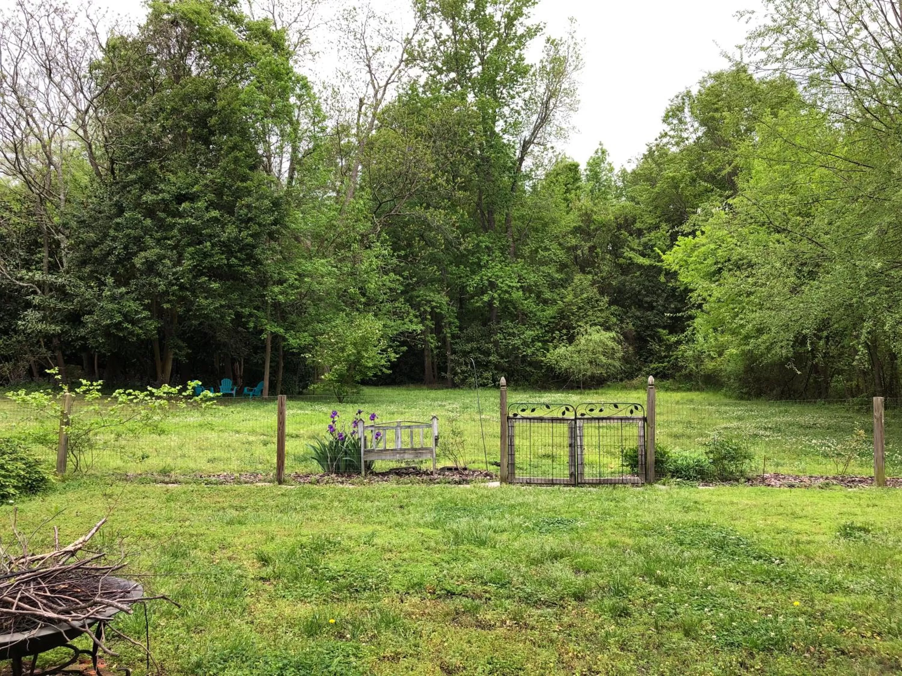 Natural landscape, Garden in Magnolia House & Gardens B&B