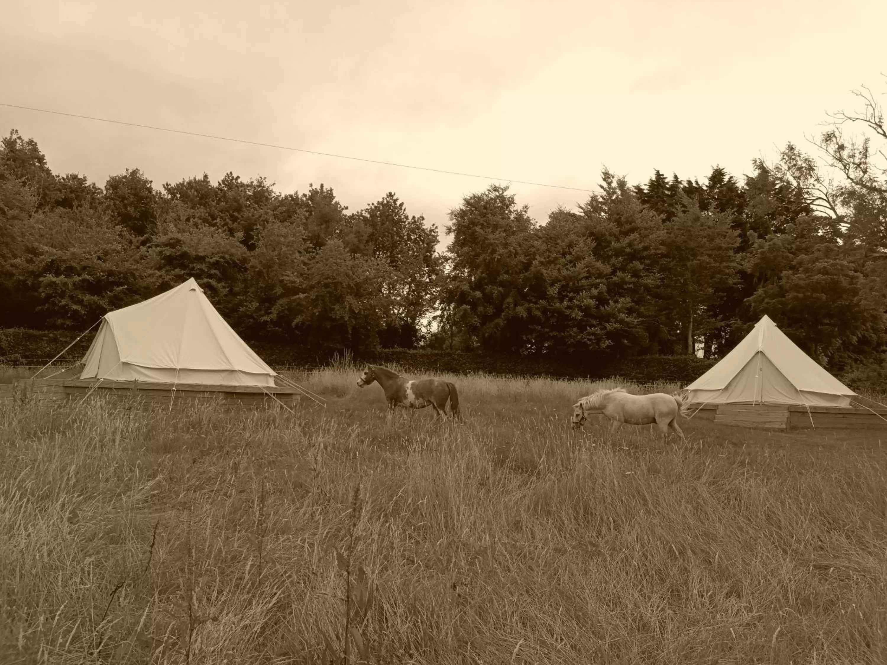 Ferry House Holidays