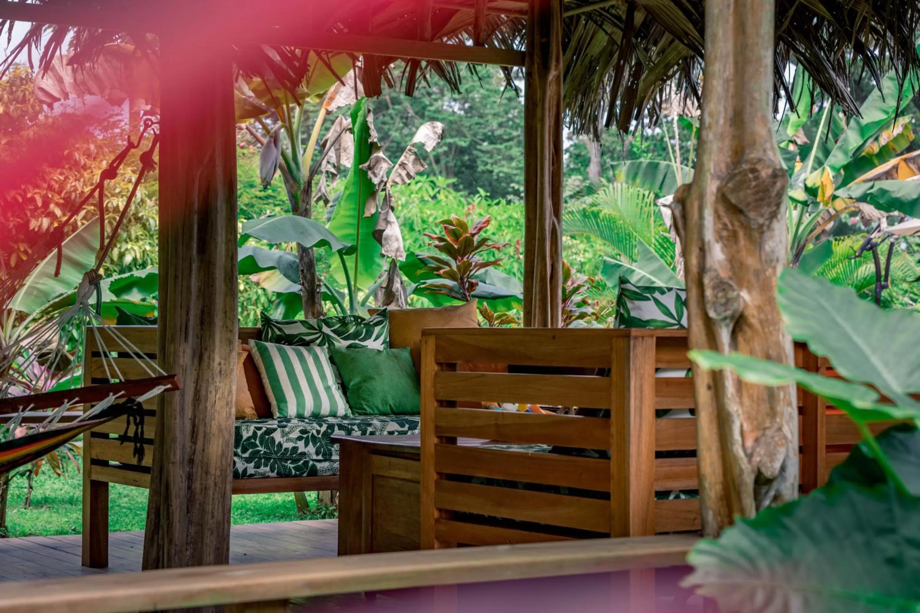 Property building in The Hummingbird