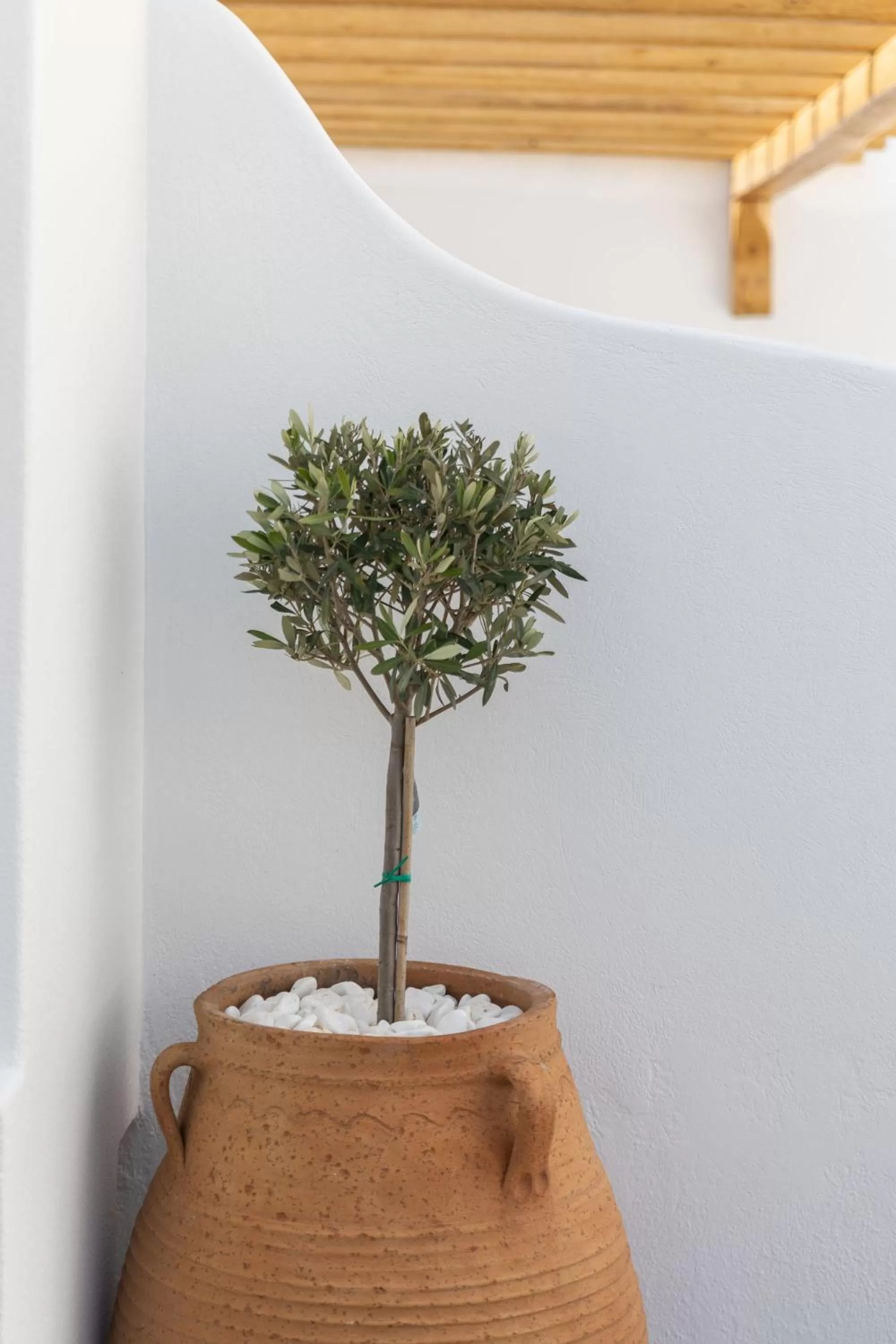 Property building in Elena Hotel Mykonos