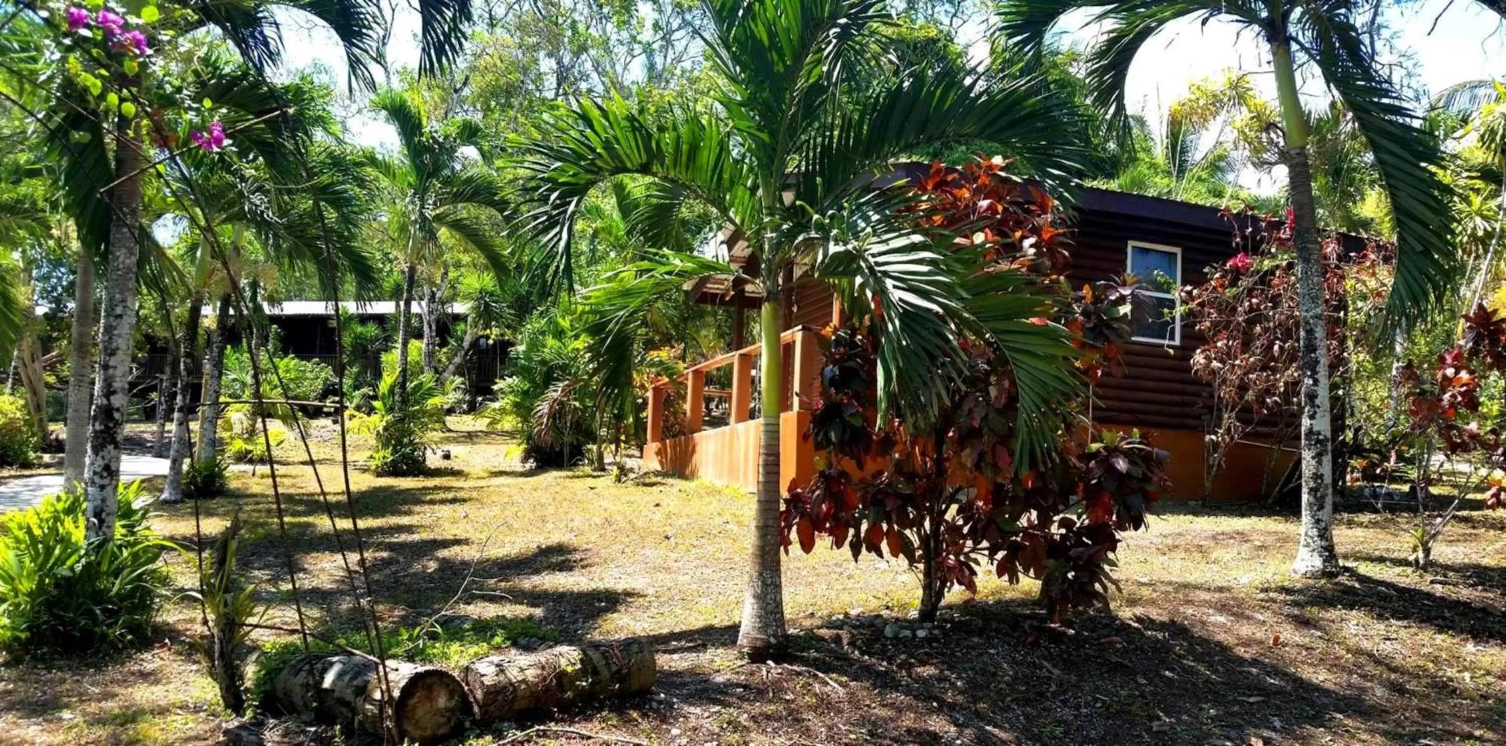 Property building in The Log Cab-Inn