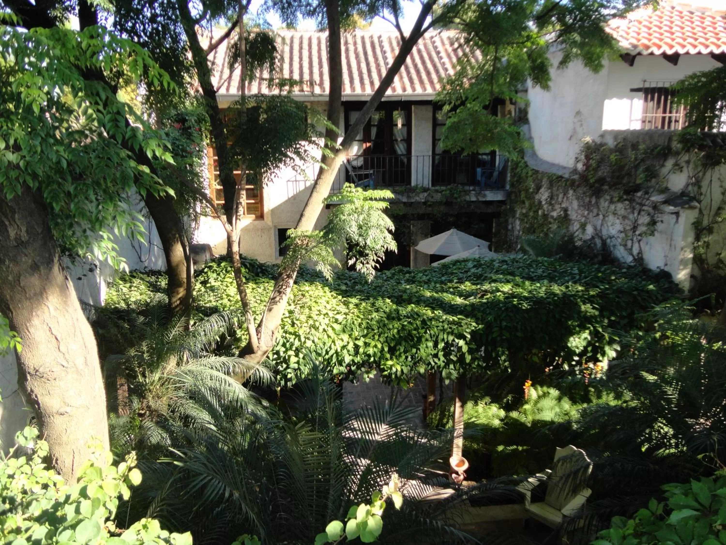 Garden in Cissus Hotel Boutique
