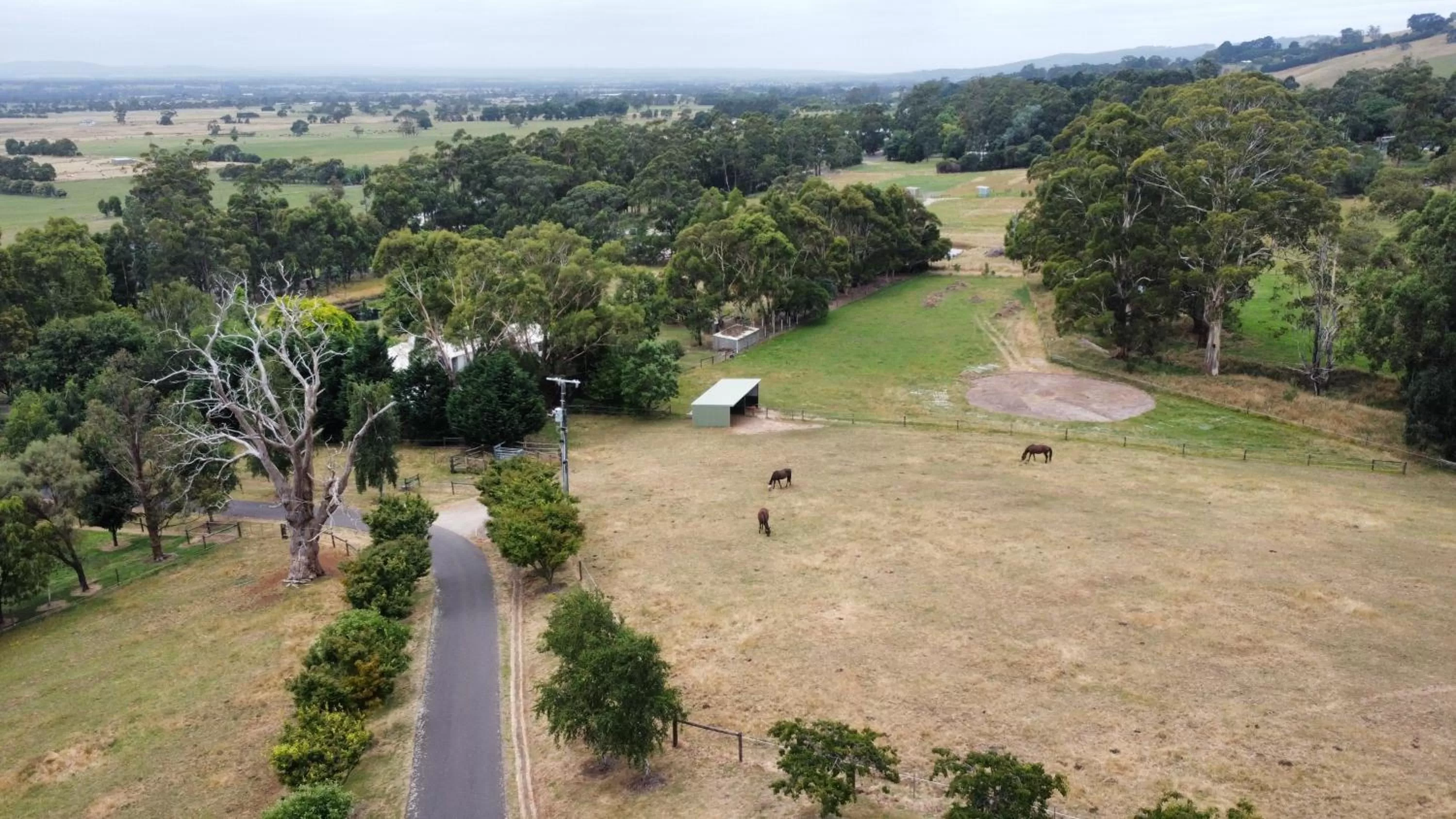 Bird's-eye View in Rosewood Park Guest Suite