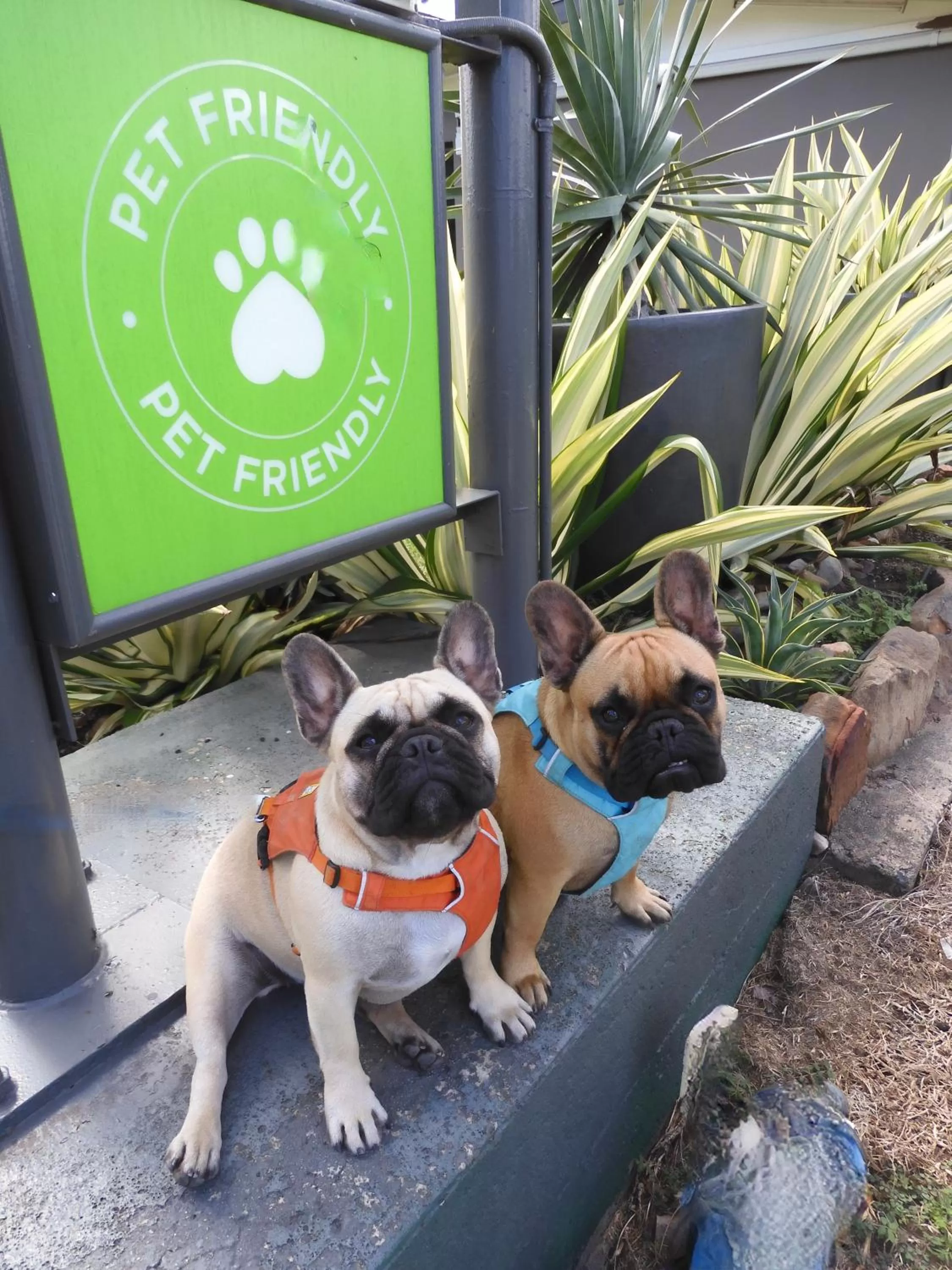 Property building in Dalby Parkview Motel