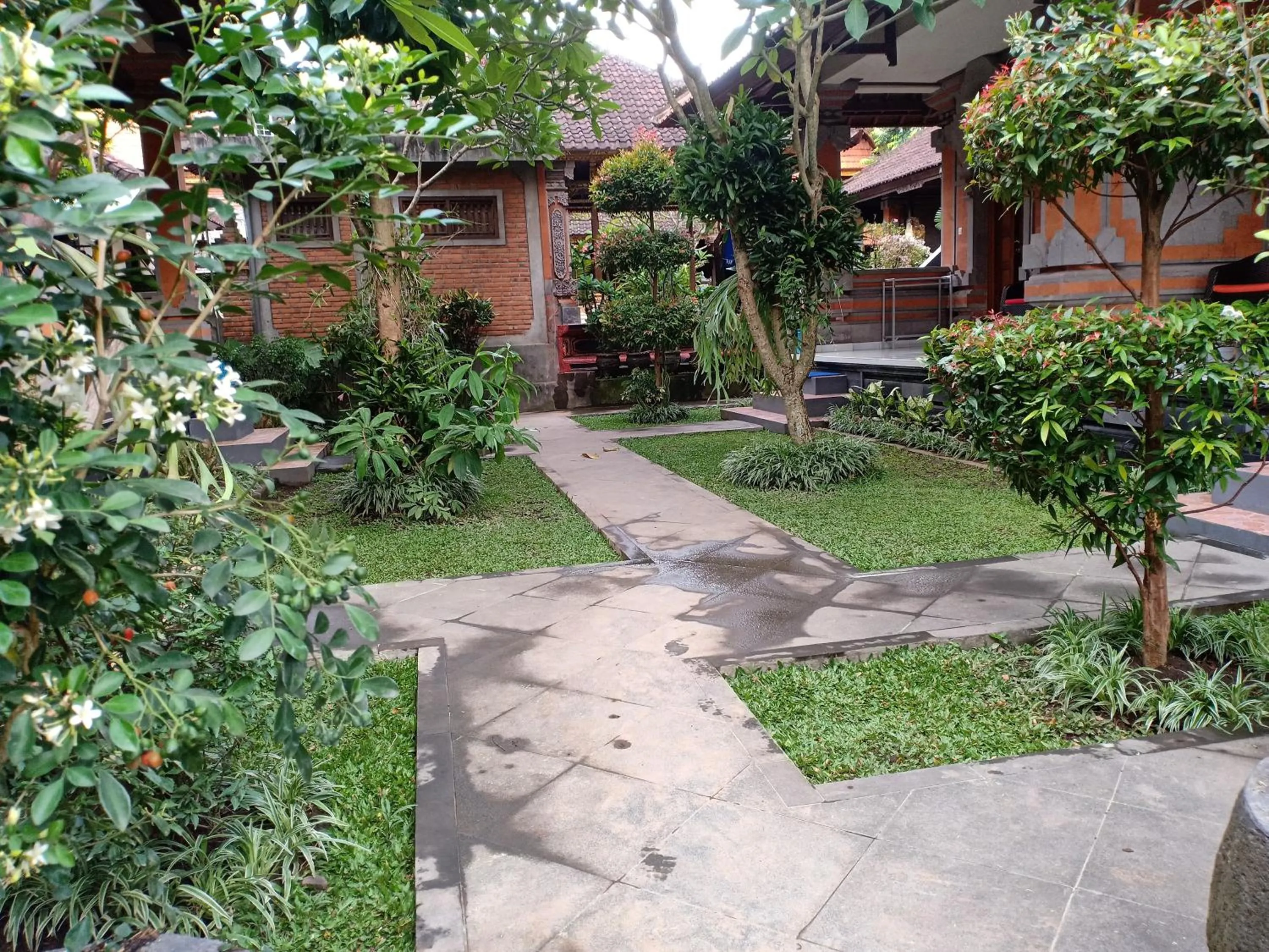 Garden in Nick's Homestay