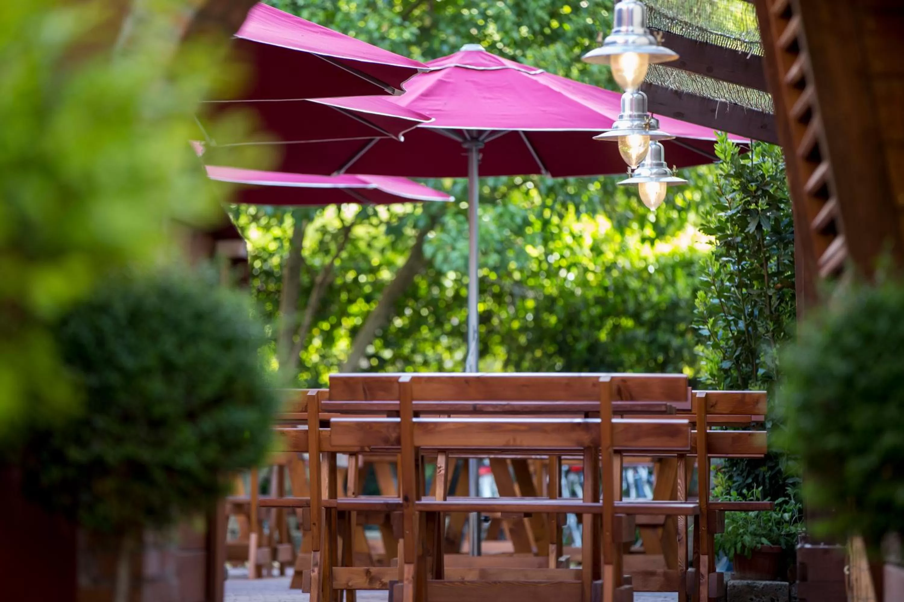 Restaurant/places to eat in B&B 7 Vizi