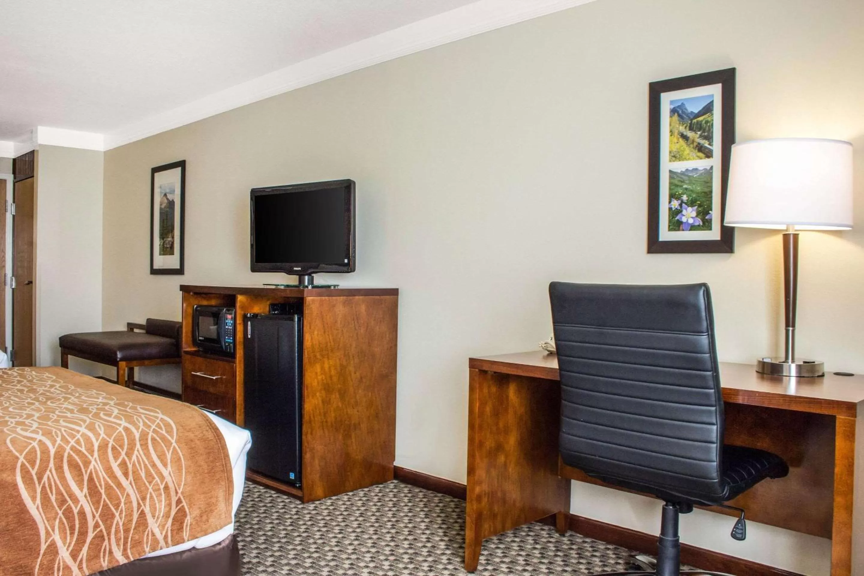 Queen Room with Two Queen Beds and Roll-In Shower - Accessible/Non-Smoking in Comfort Inn & Suites Durango