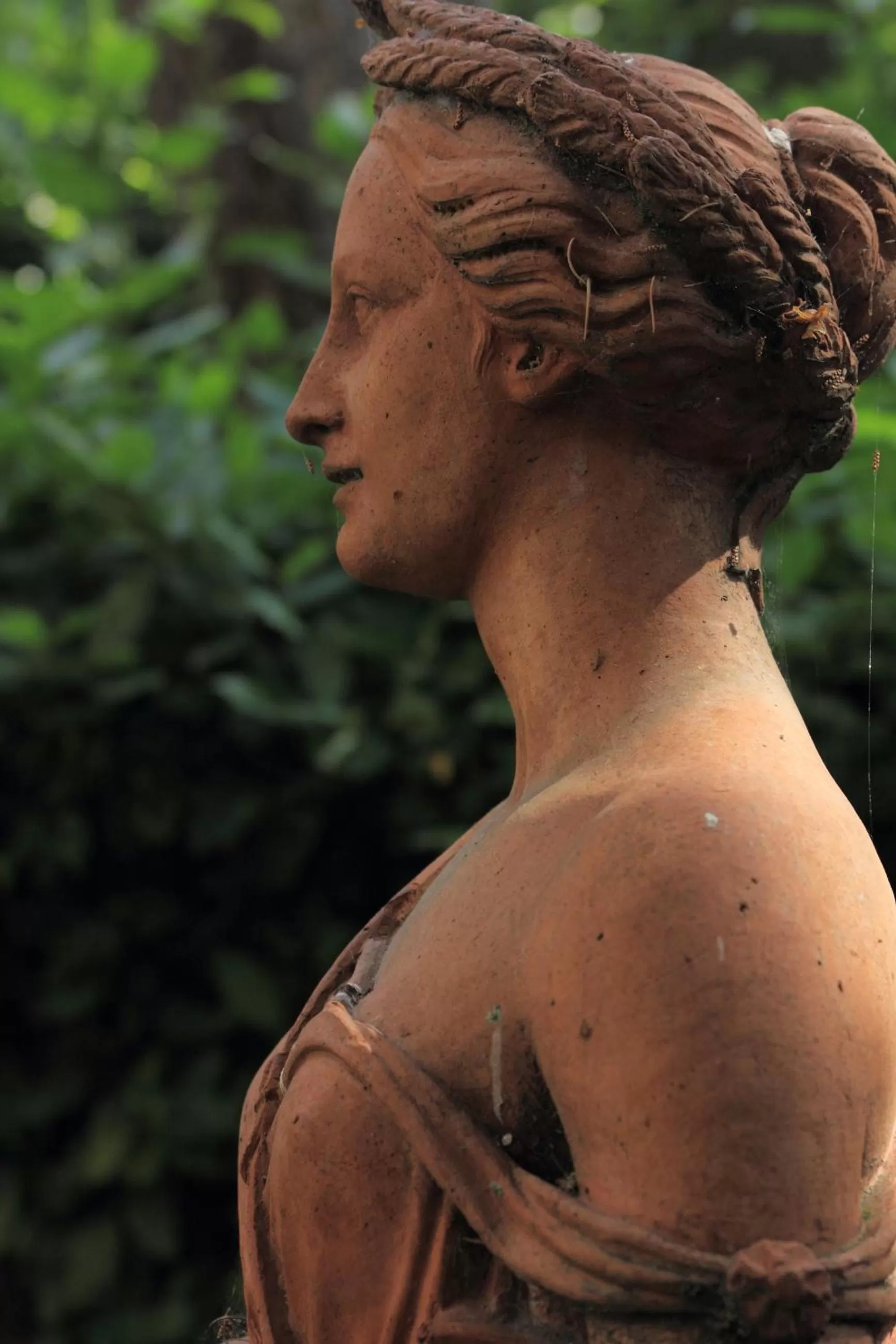 Natural landscape in Hotel Villa Liana