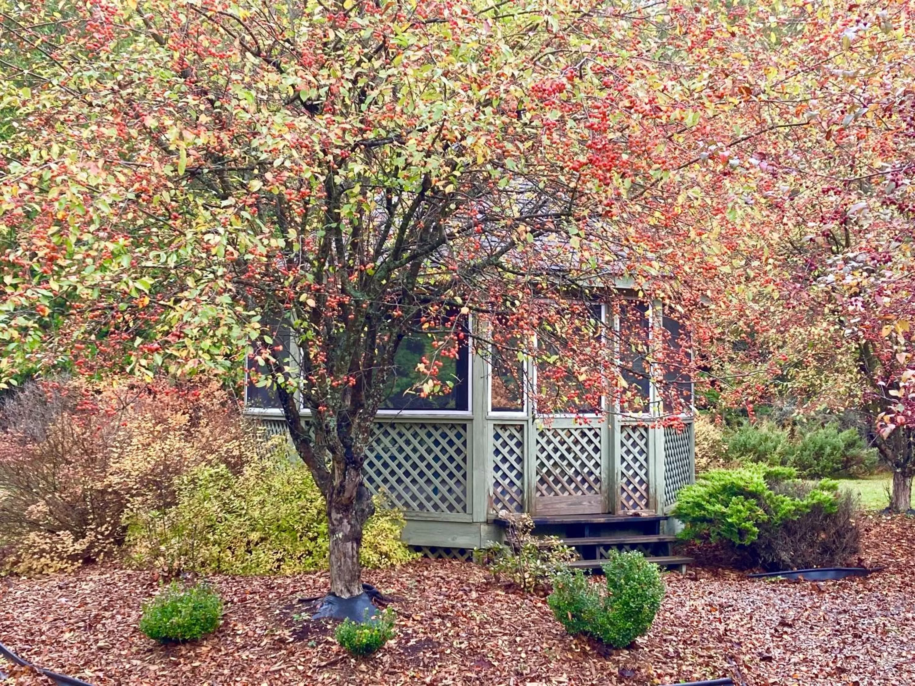 Natural landscape, Patio/Outdoor Area in Garden Grove Retreat & Lodging near Pictured Rocks, Fayette, Trails