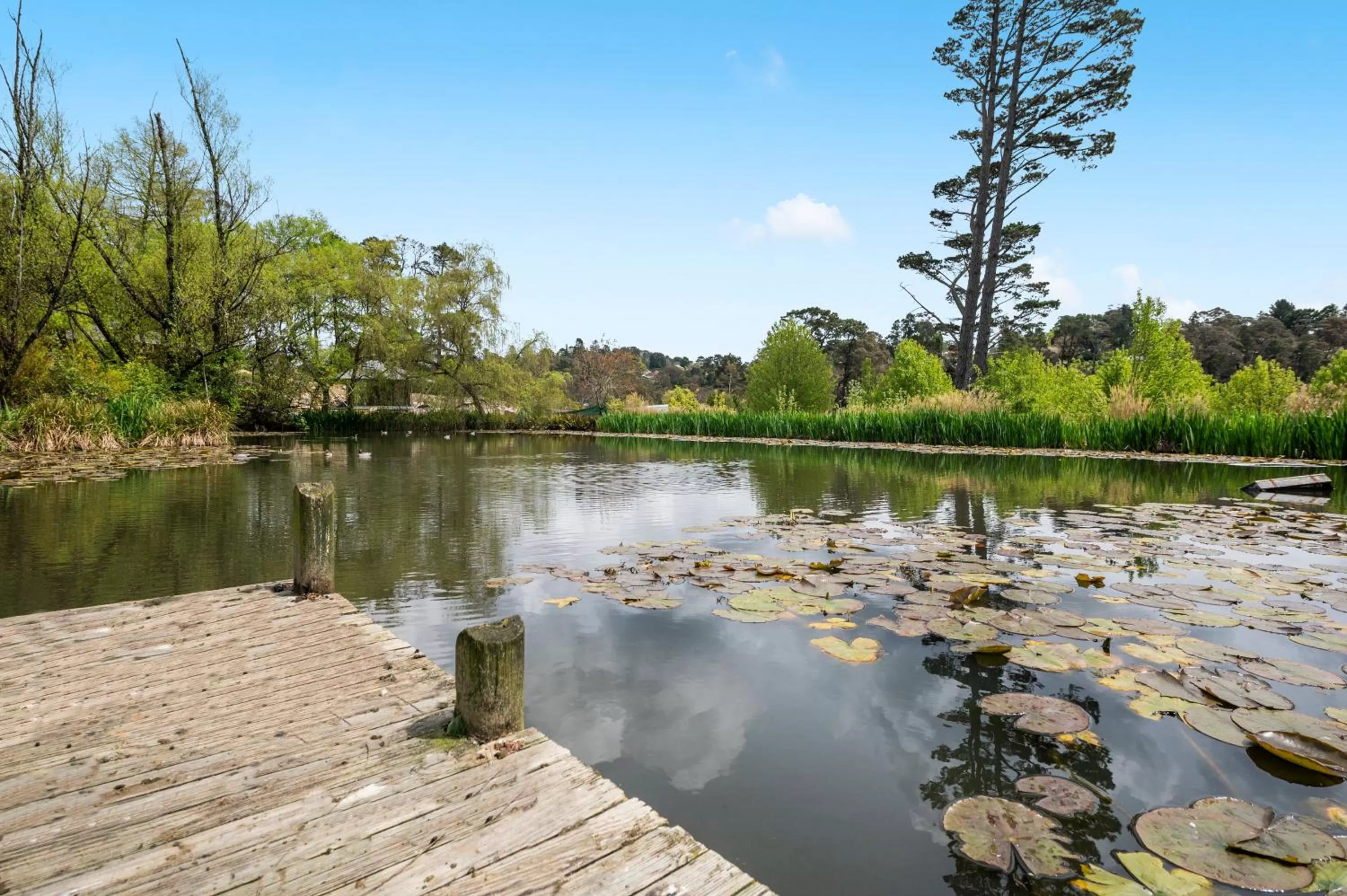 Natural landscape in Parklands Country Gardens & Lodges Blue Mountains