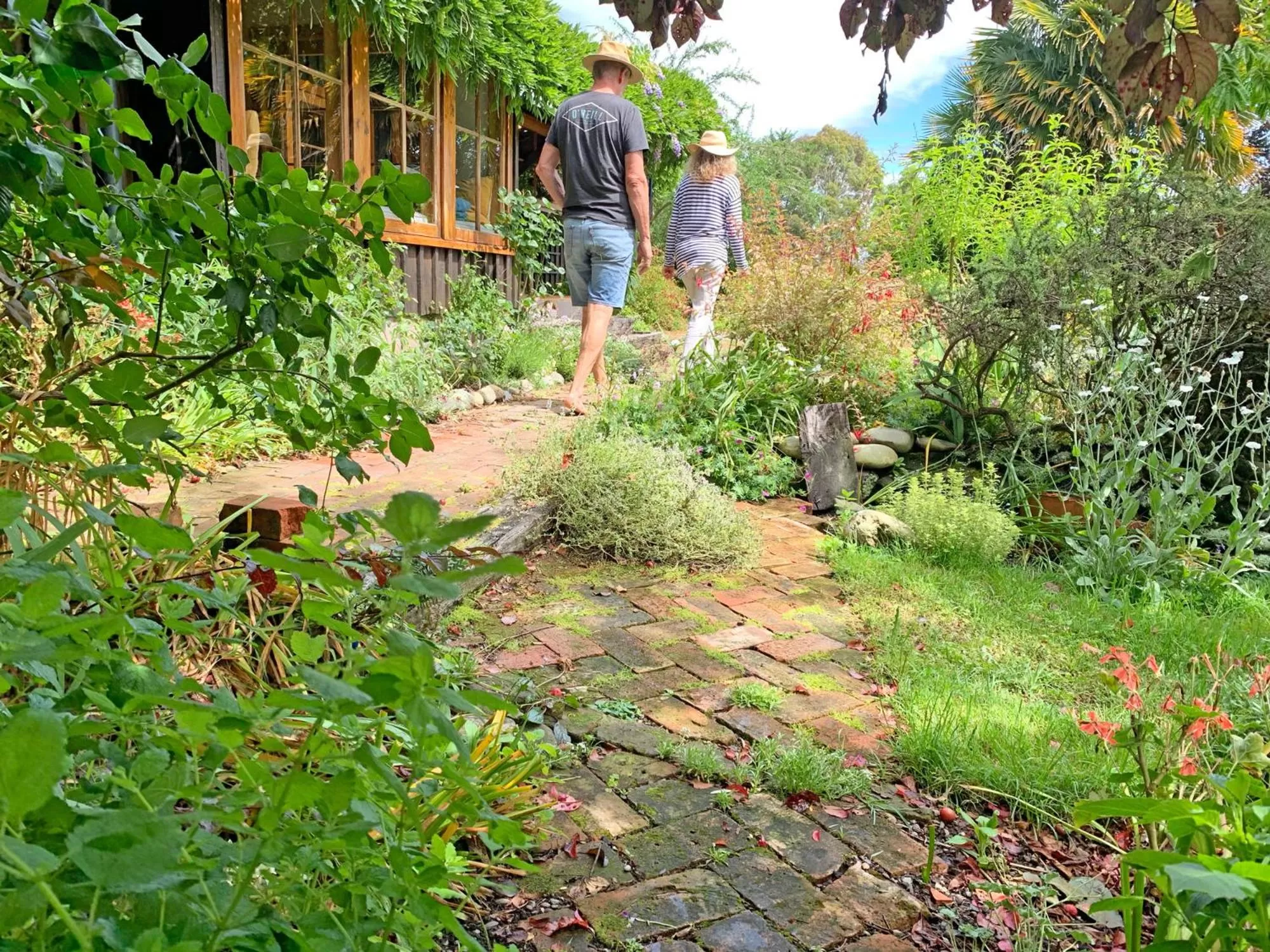 Garden in Quail Farm, Colonial charm