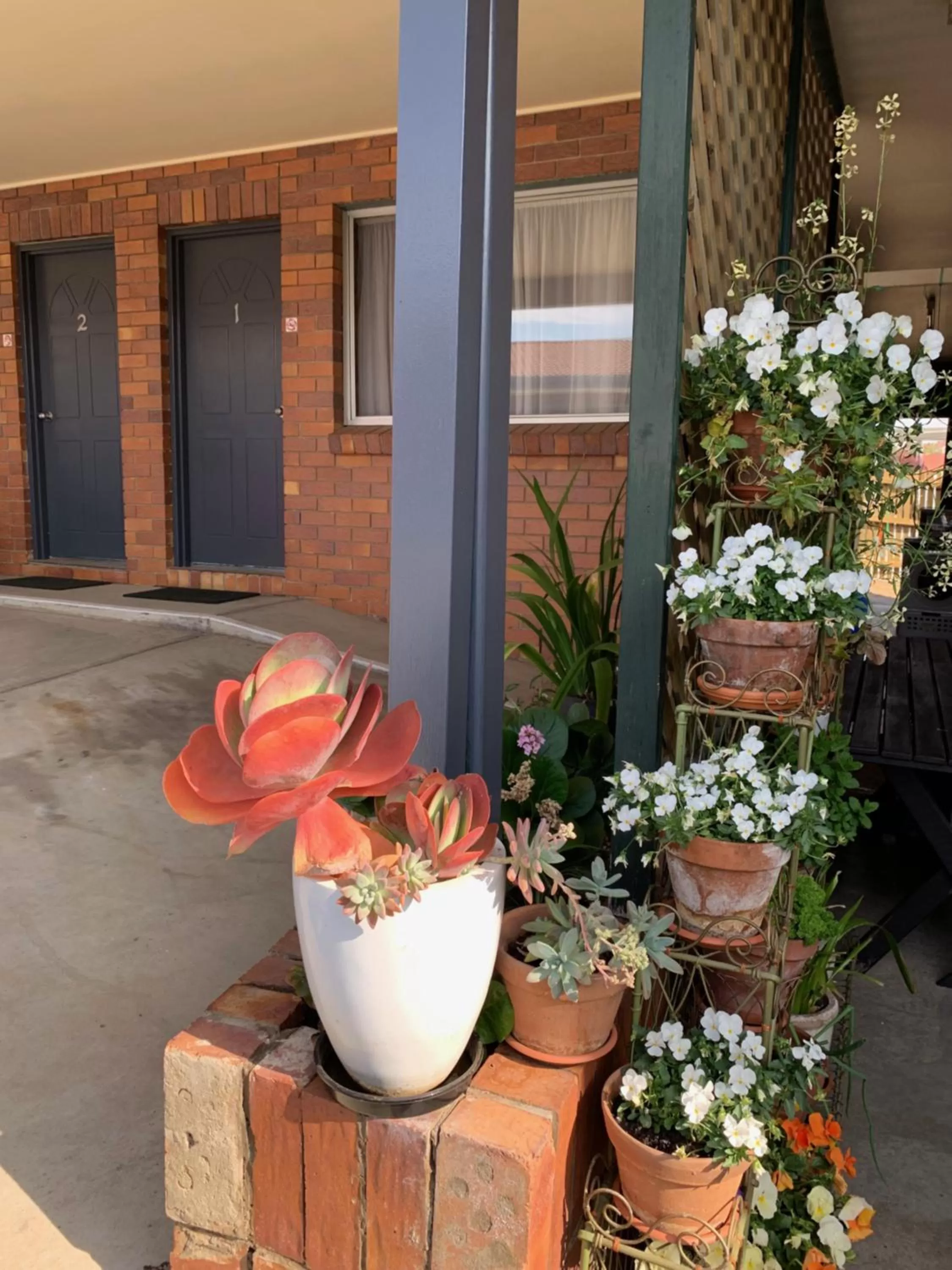 Peter Allen Motor Inn