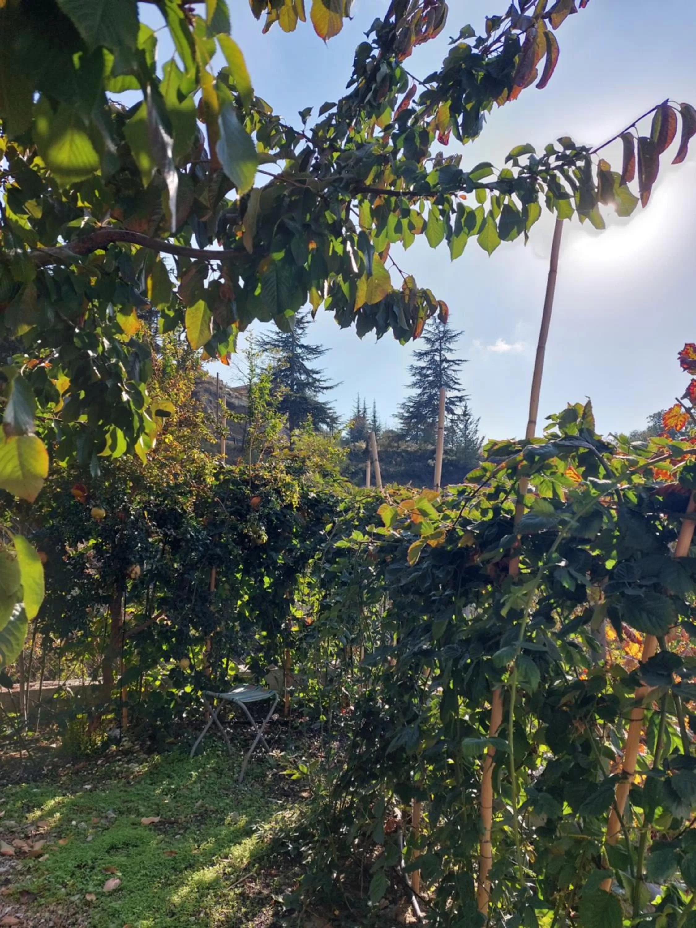 Agros Green Valley Suites