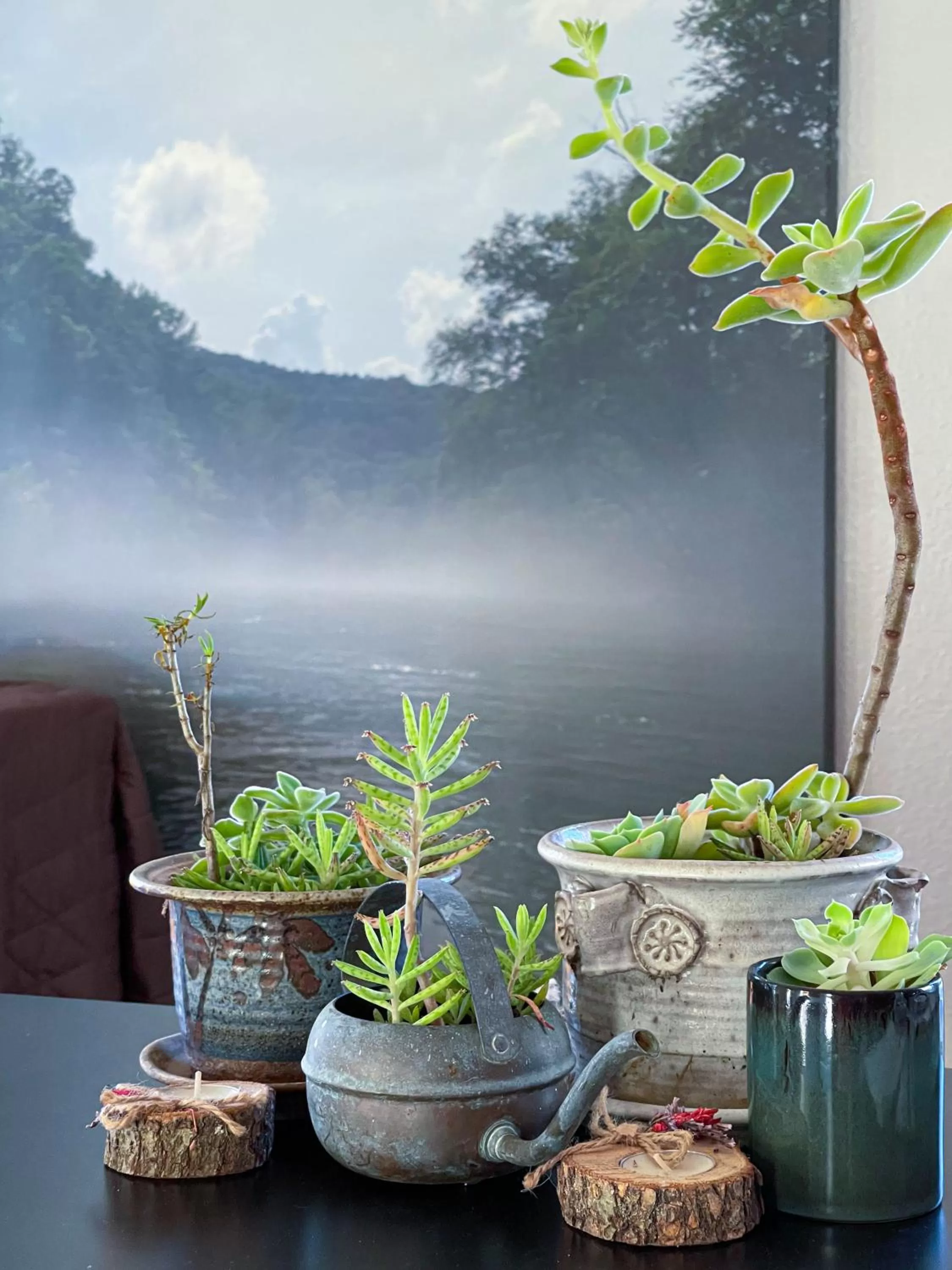 Lobby or reception in The Wanderoo Lodge