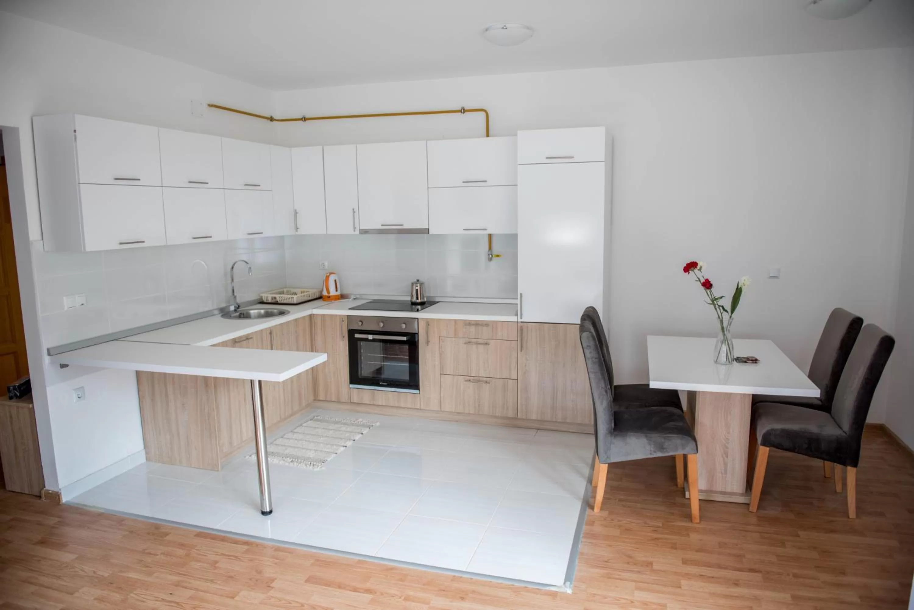 Kitchen/Kitchenette in Leader apartment