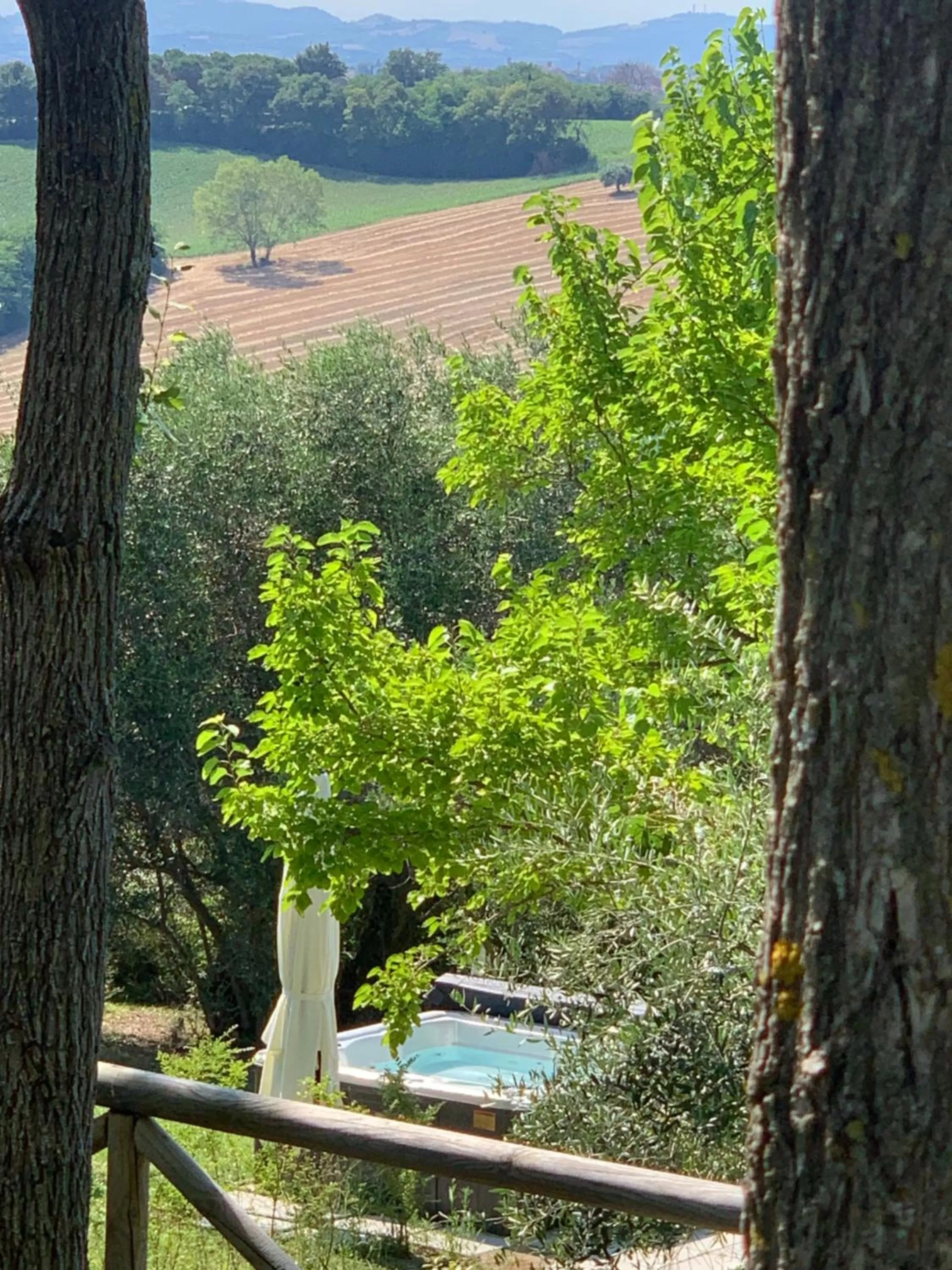 Natural landscape in Il Lauro