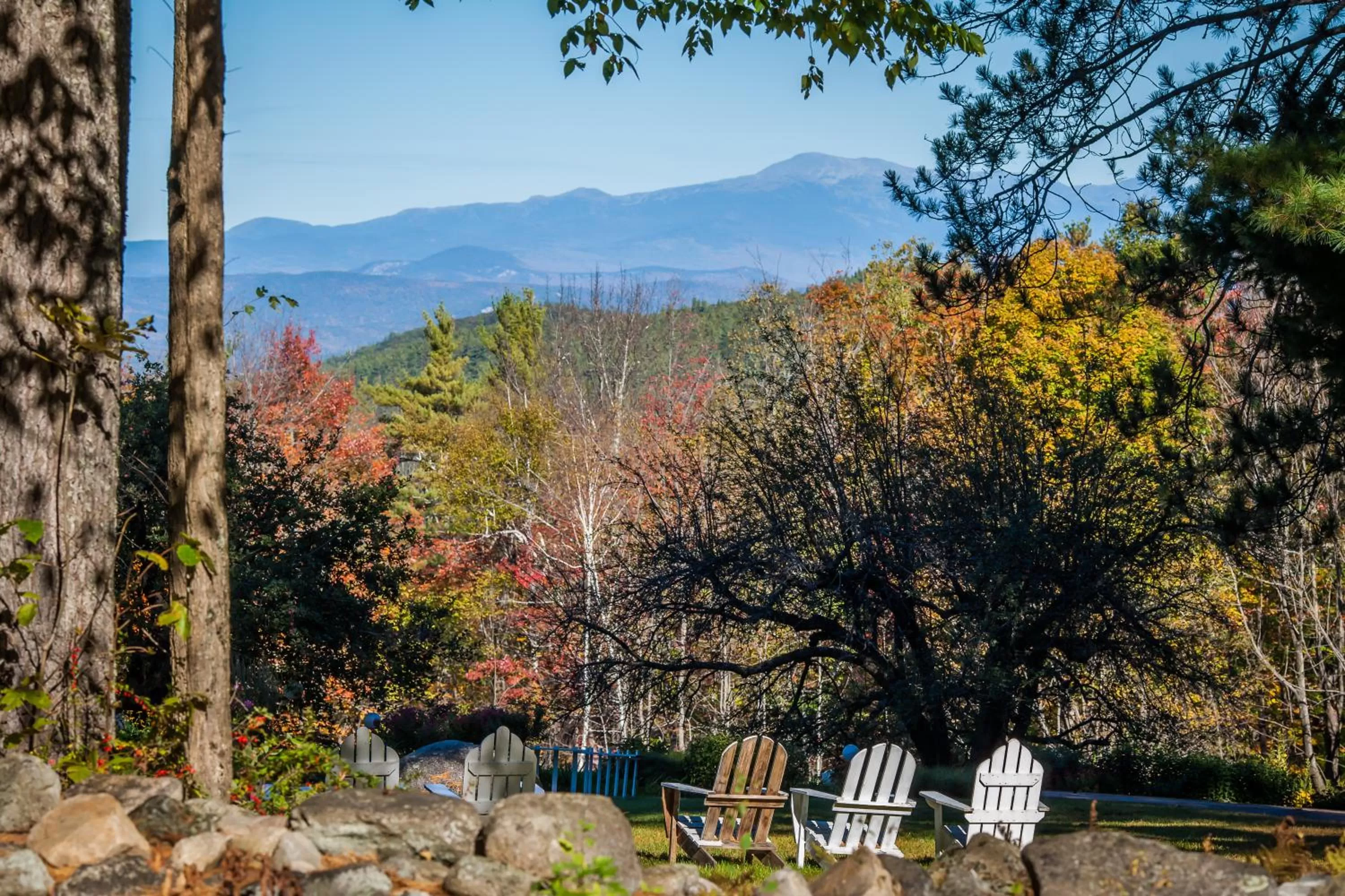 View (from property/room) in Snowvillage Inn