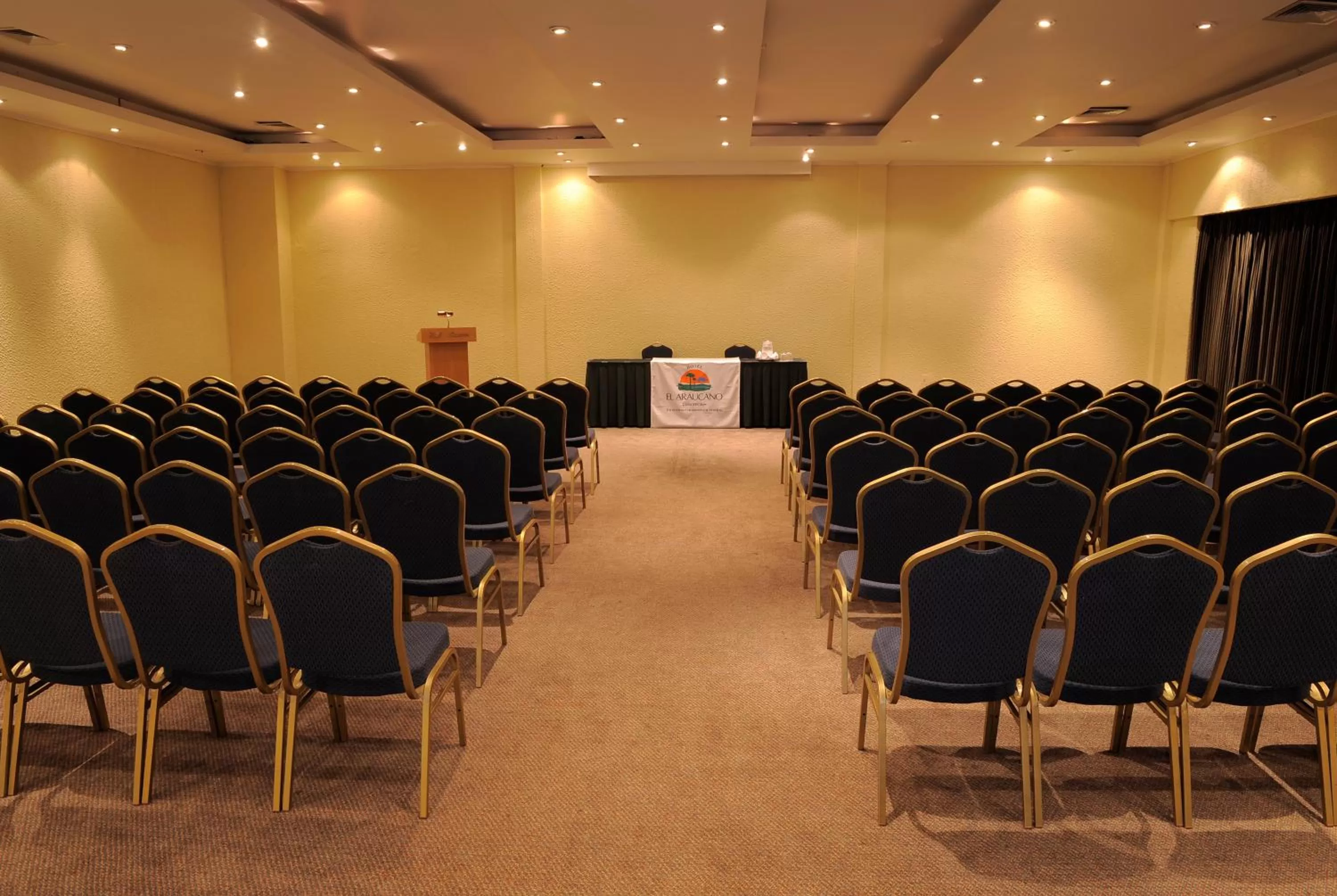 Business facilities in Hotel El Araucano