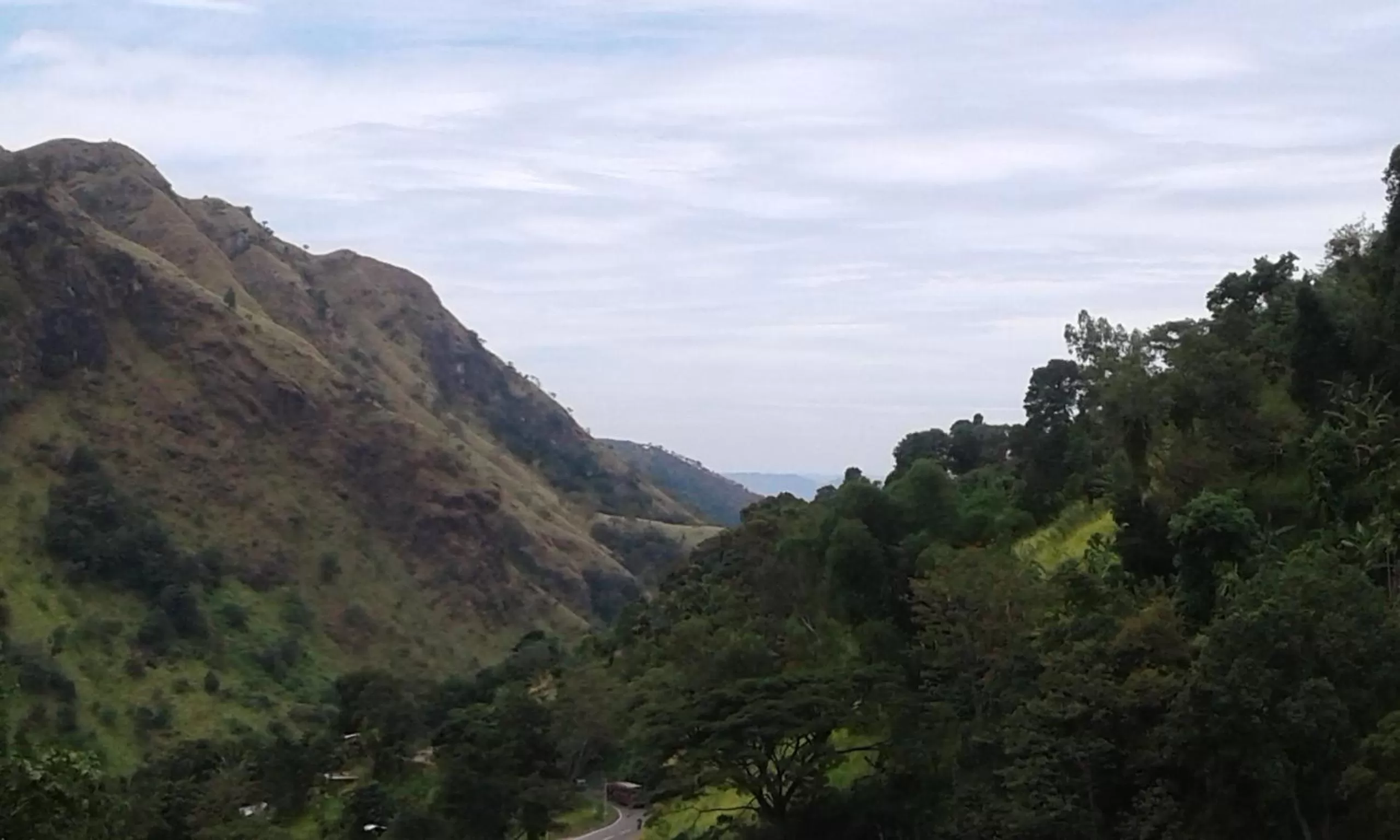 Ella Lucky Panoramic