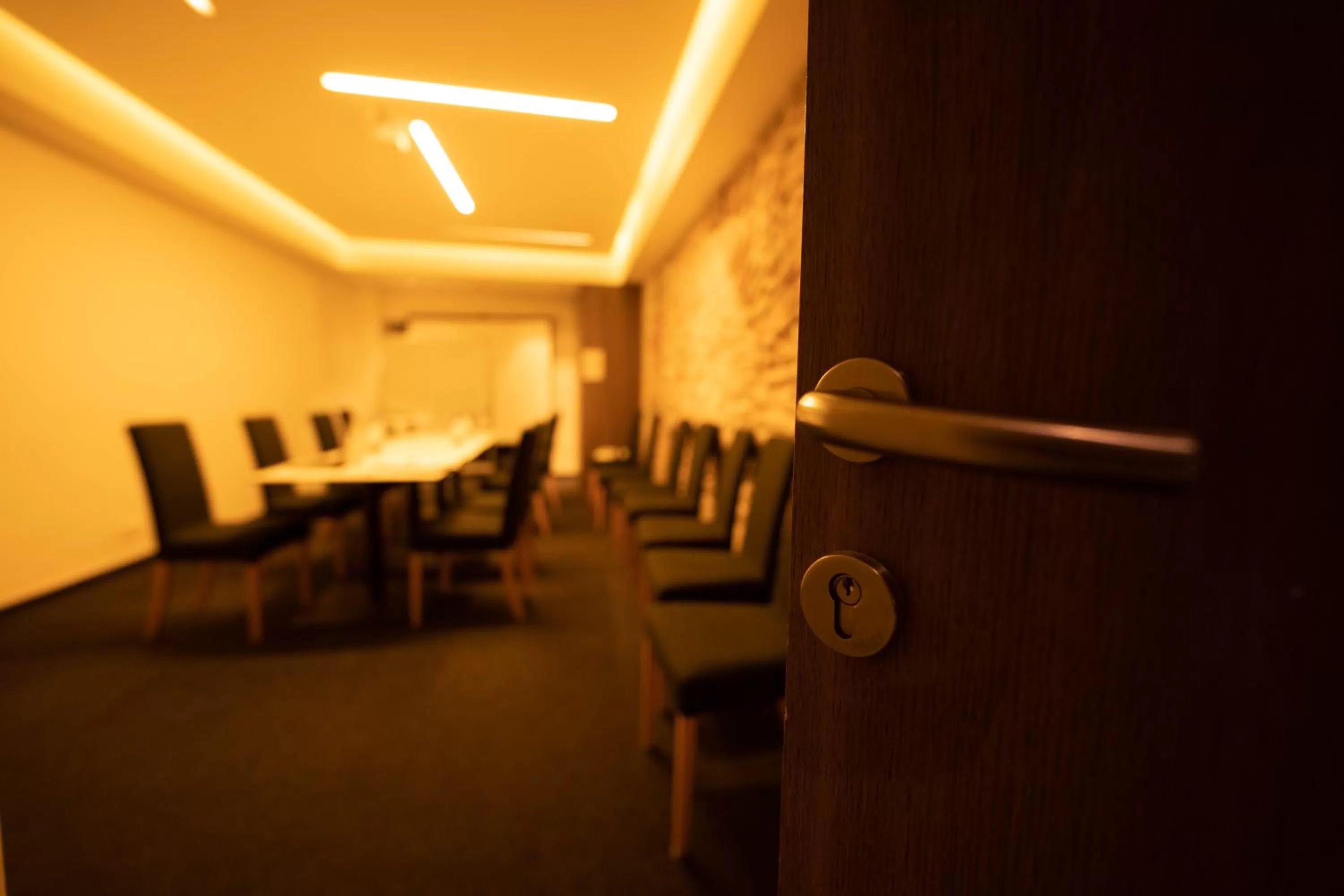 Meeting/conference room in Slavija Culture Heritage Hotel