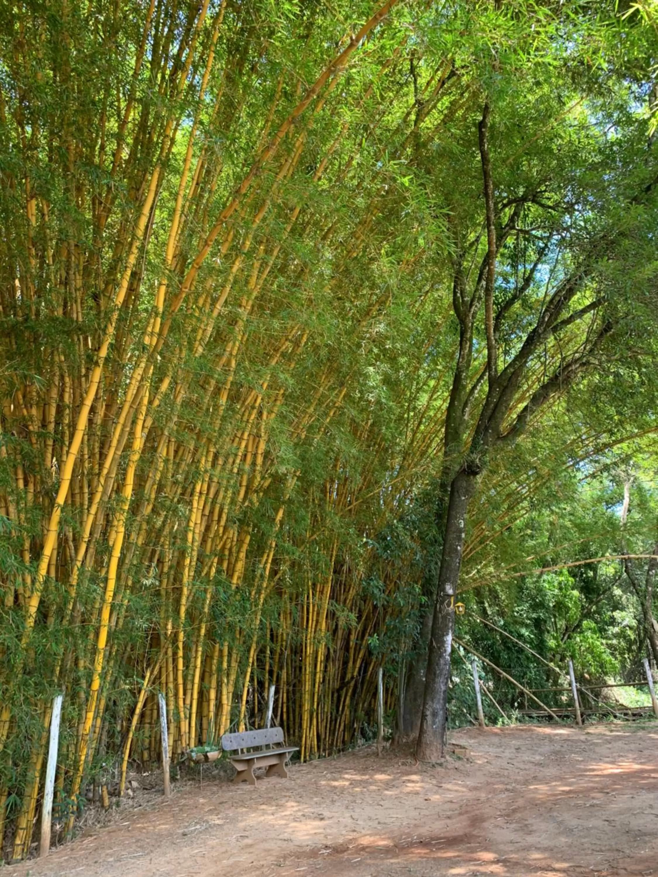 Pousada Cantinho do Mundo