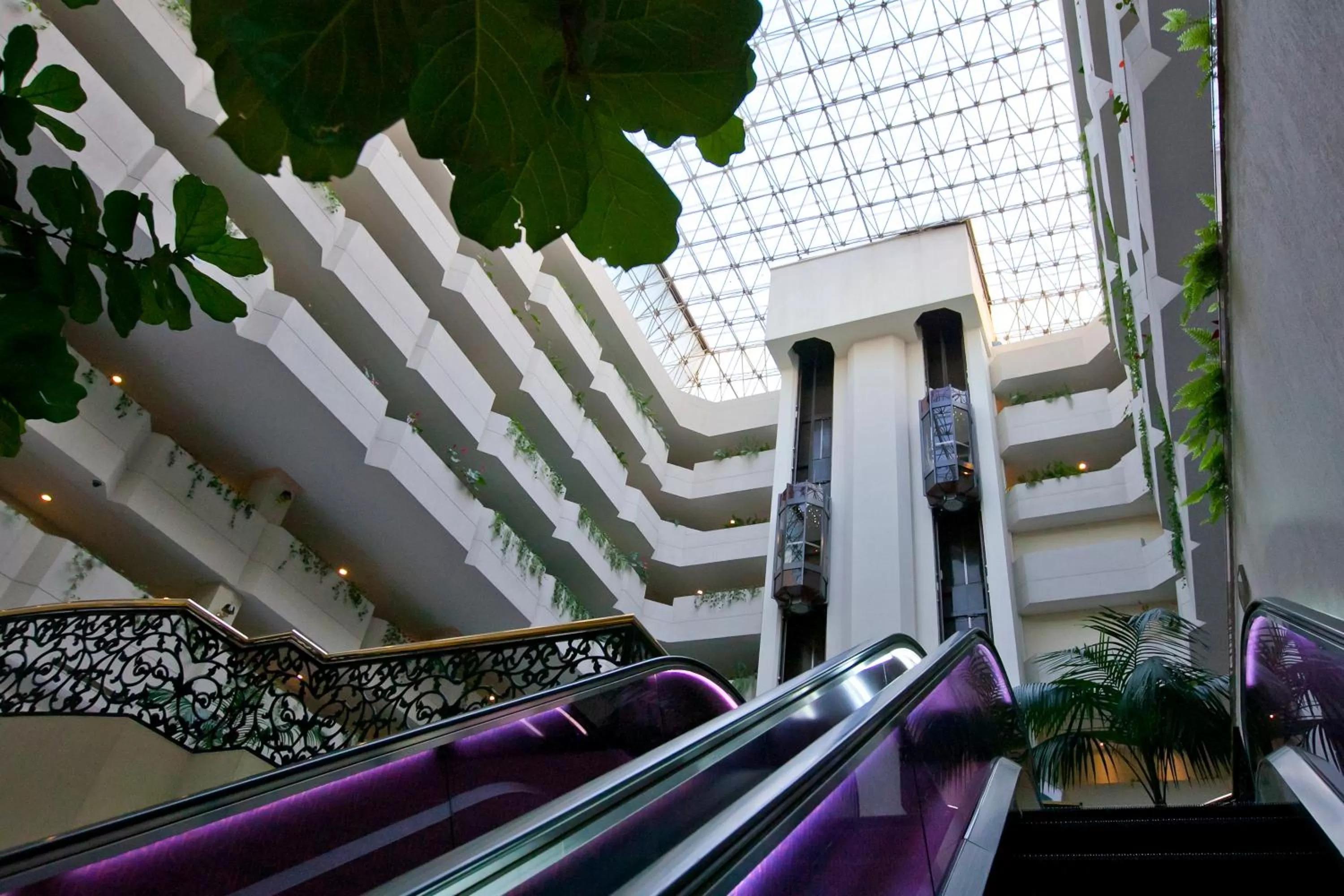 Area and facilities in HS HOTSSON Hotel Leon