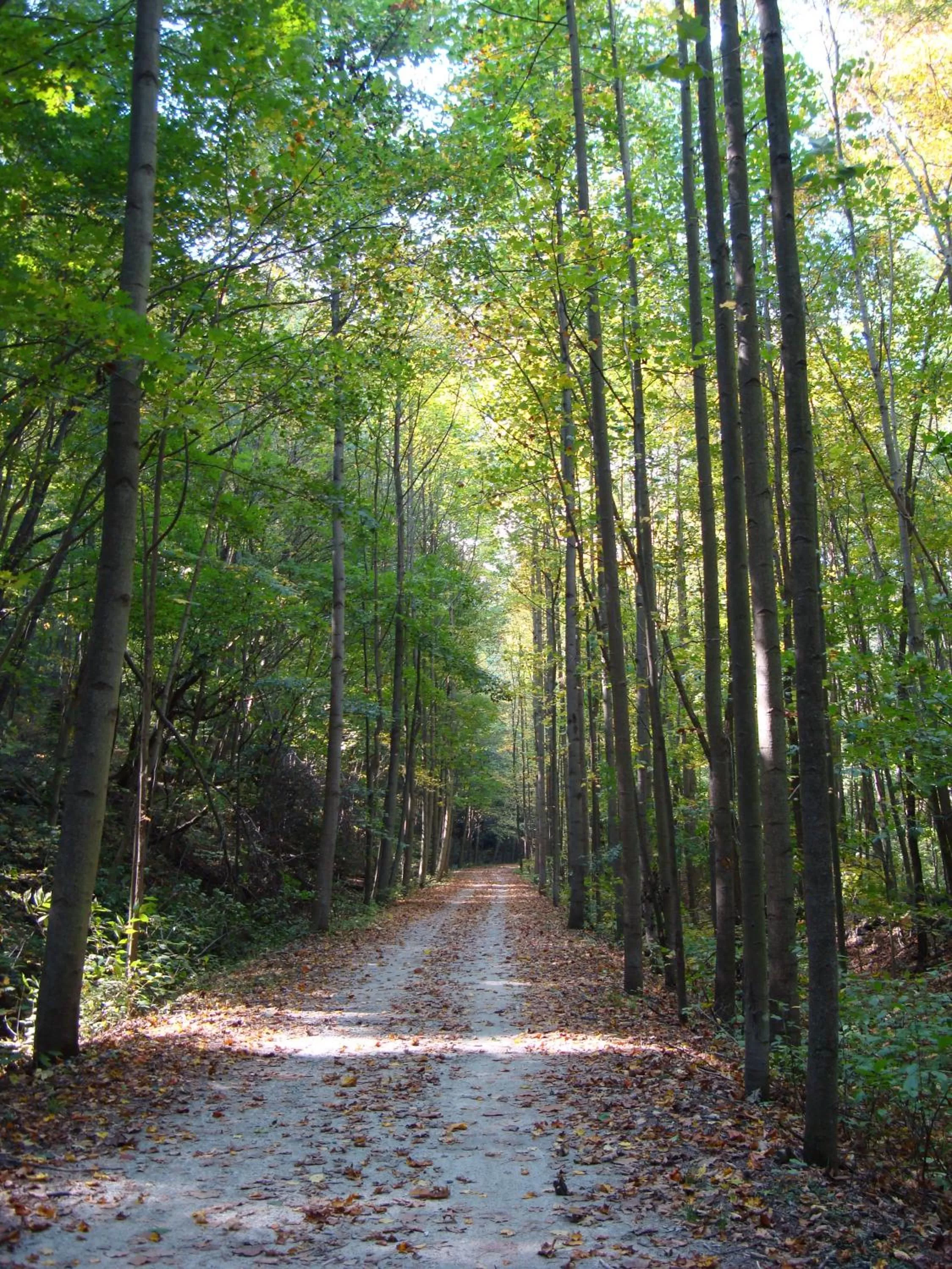 Cycling in Melody Motor Lodge
