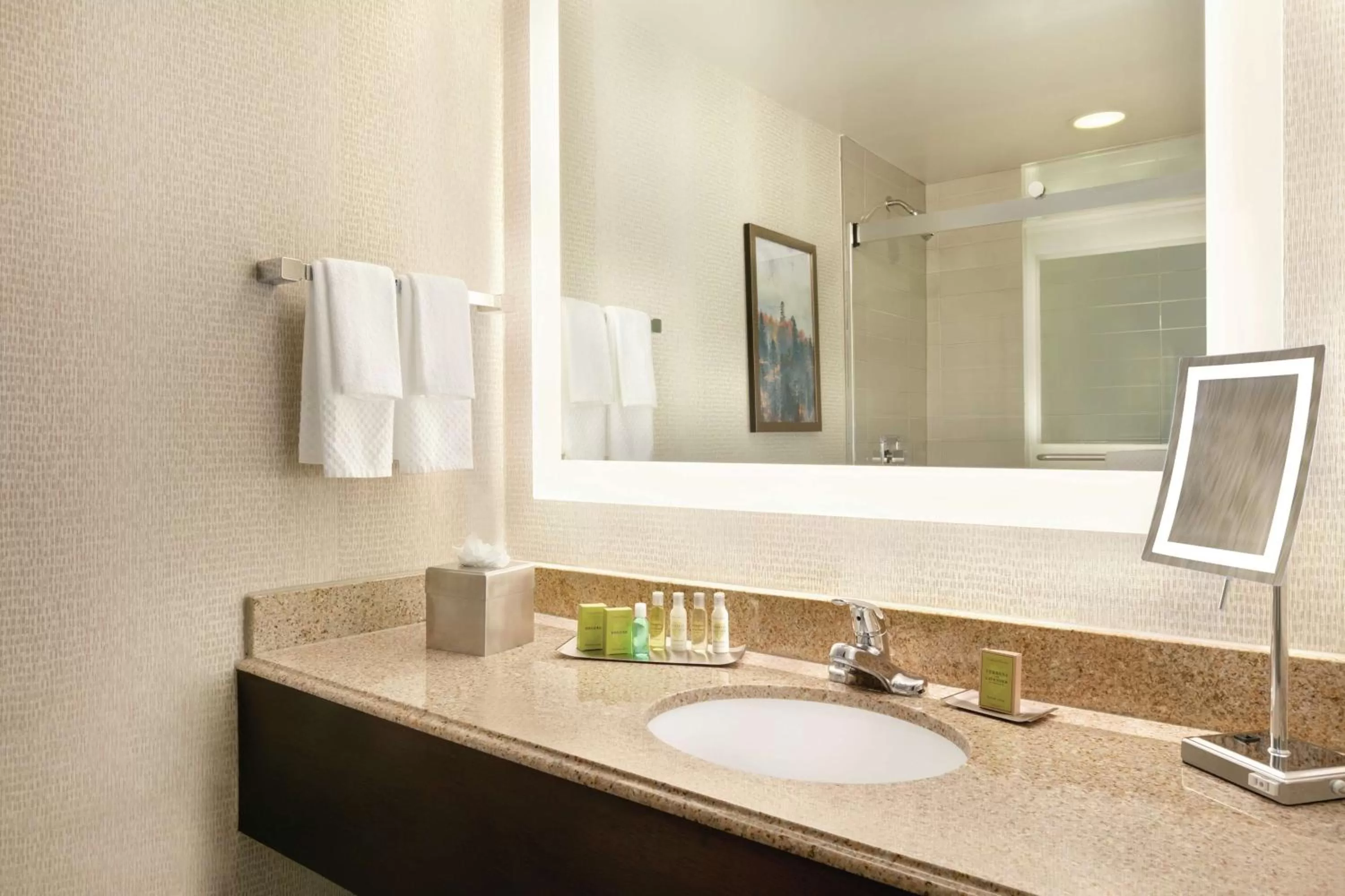 Bathroom in DoubleTree by Hilton Atlanta Northeast/Northlake