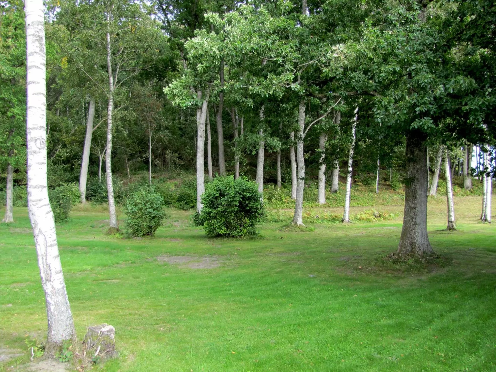Property building, Garden in Hotell Munkeröd