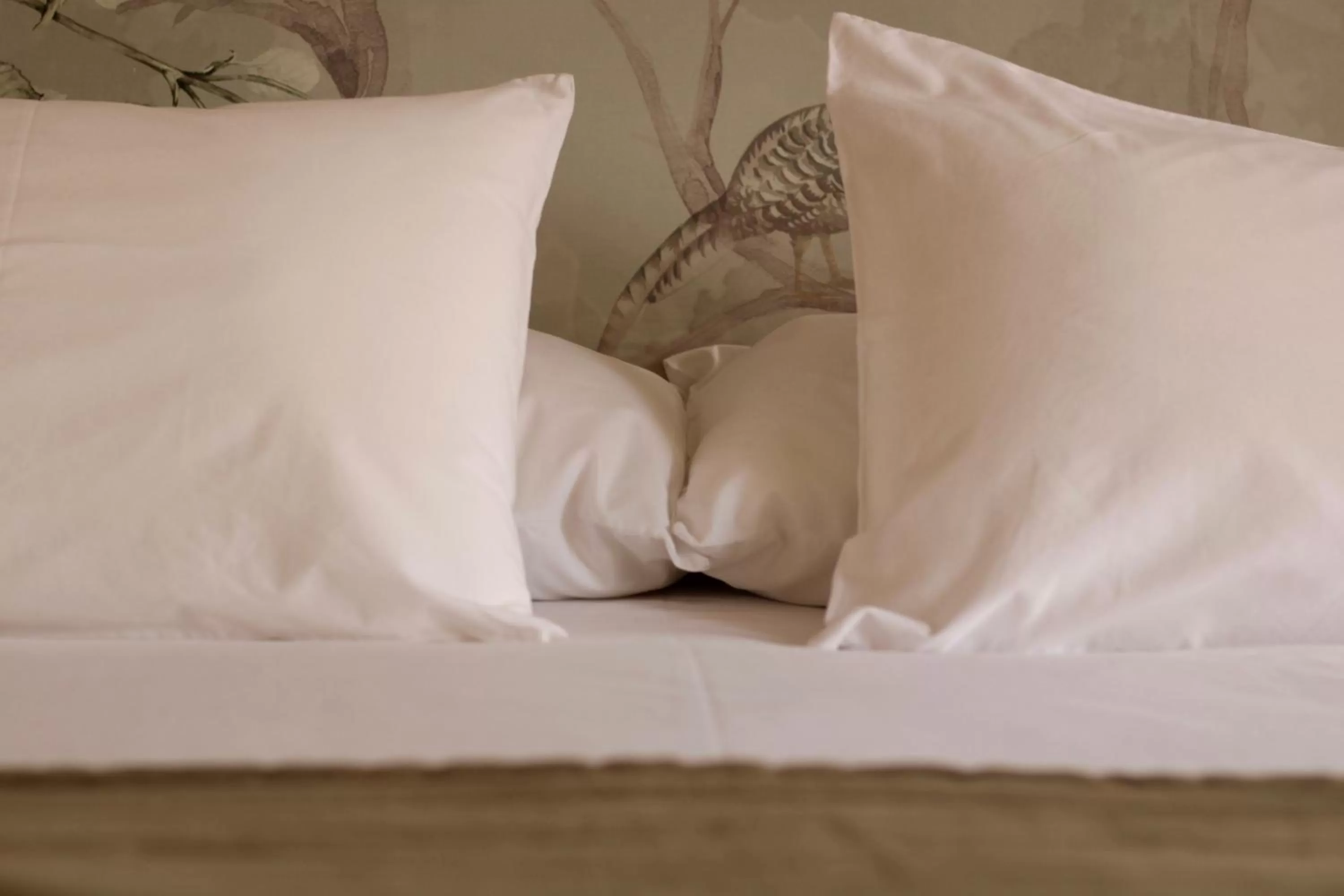 Bed in Hotel Boutique Casa Werner